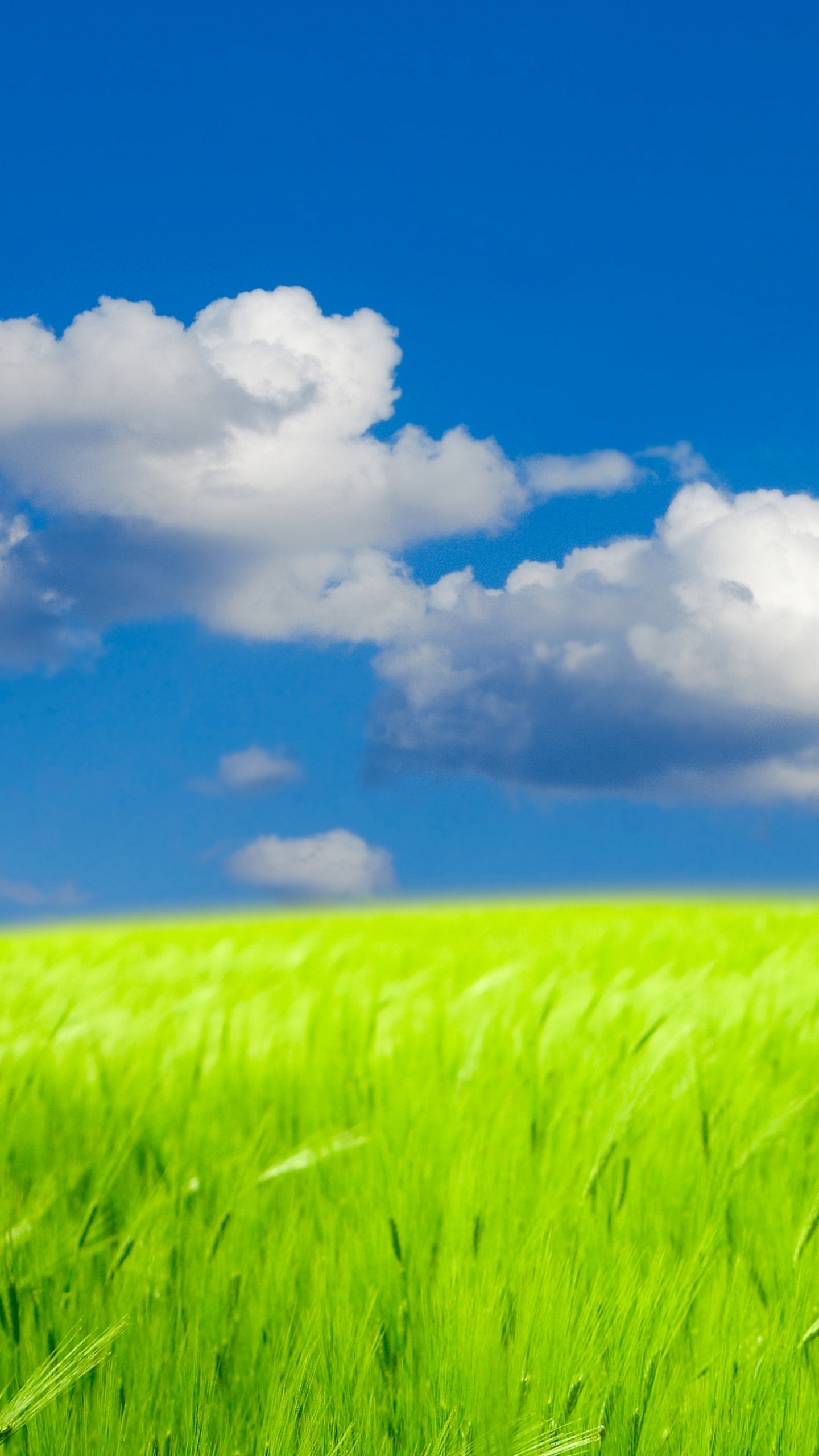 Green Grass Field Under Blue Sky and White Clouds During Daytime. Wallpaper in 1440x2560 Resolution