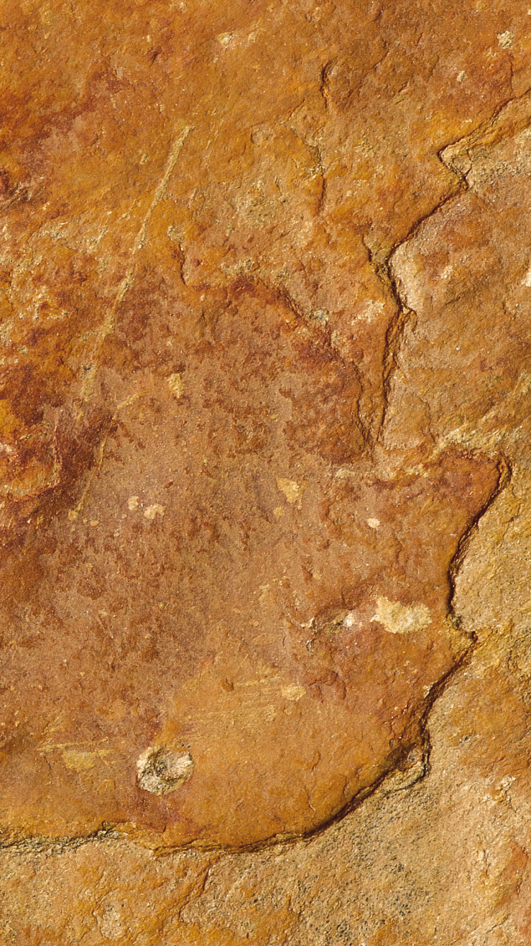 Brauner Und Schwarzer Betonboden. Wallpaper in 750x1334 Resolution