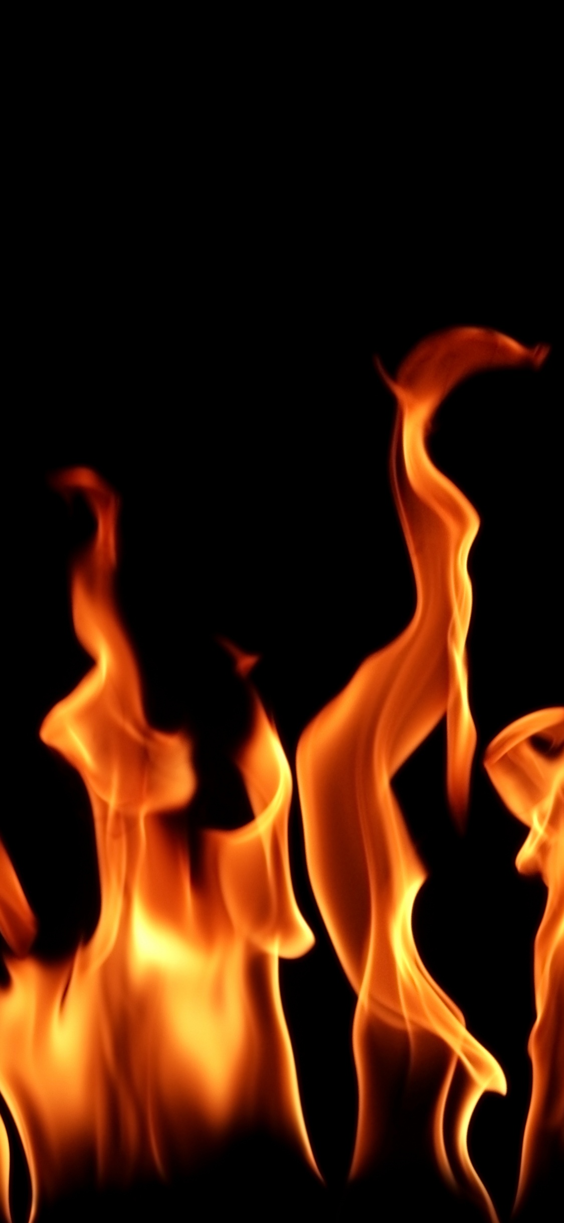 火焰, 热, 篝火, 防火安全, 橙色 壁纸 1125x2436 允许