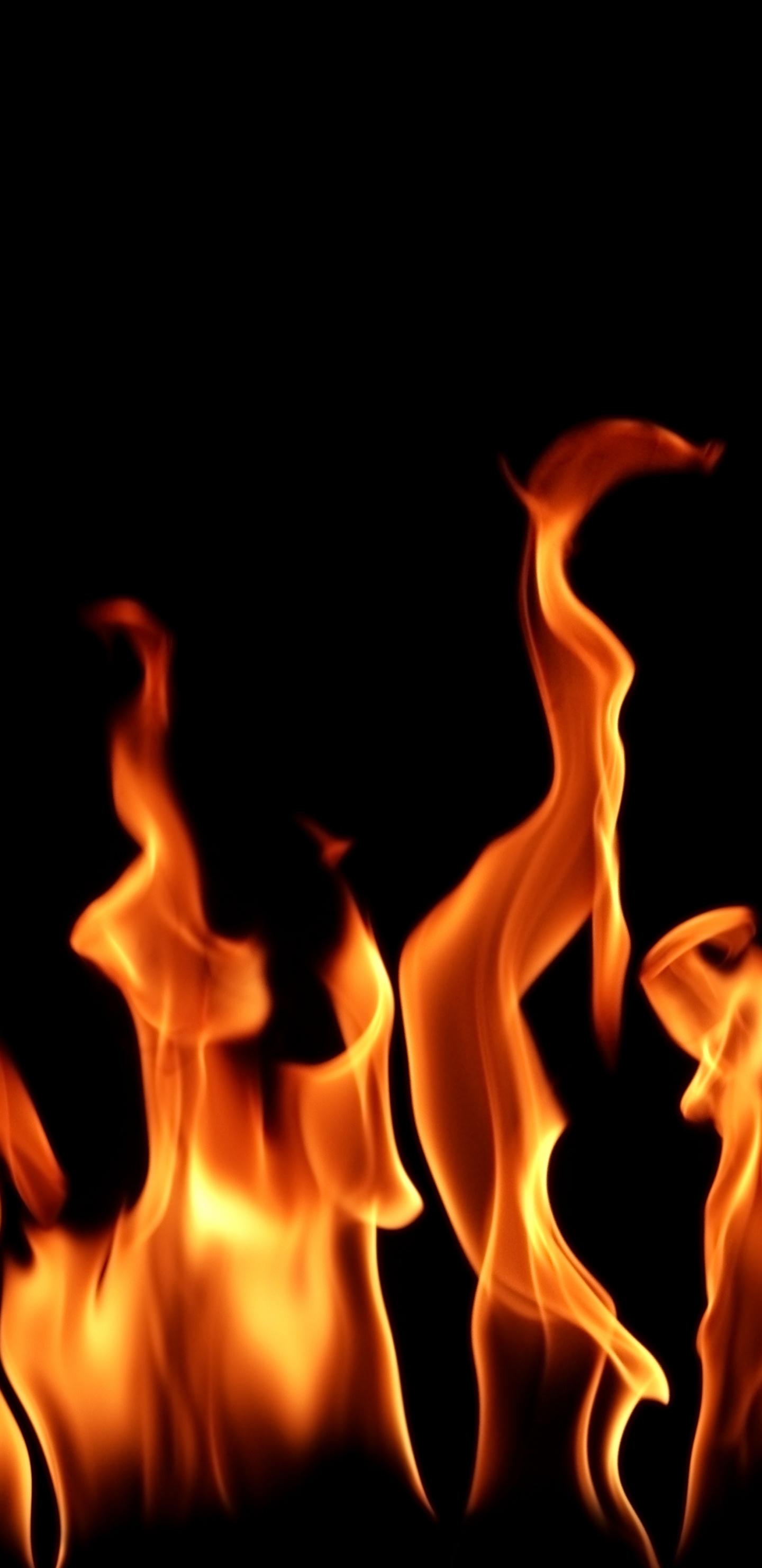 火焰, 热, 篝火, 防火安全, 橙色 壁纸 1440x2960 允许