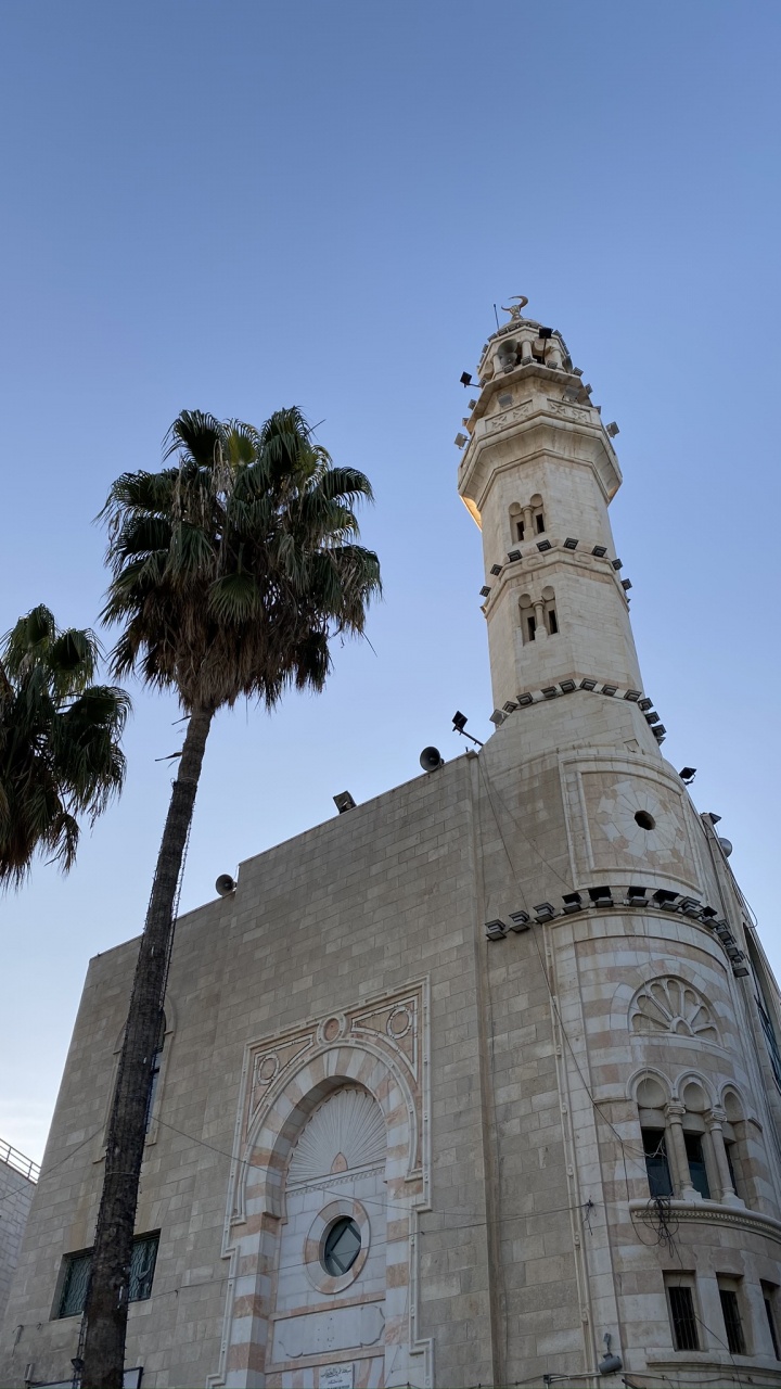 Jerusalem, Palm Trees, Ancient History, Historic Site, Architecture. Wallpaper in 720x1280 Resolution