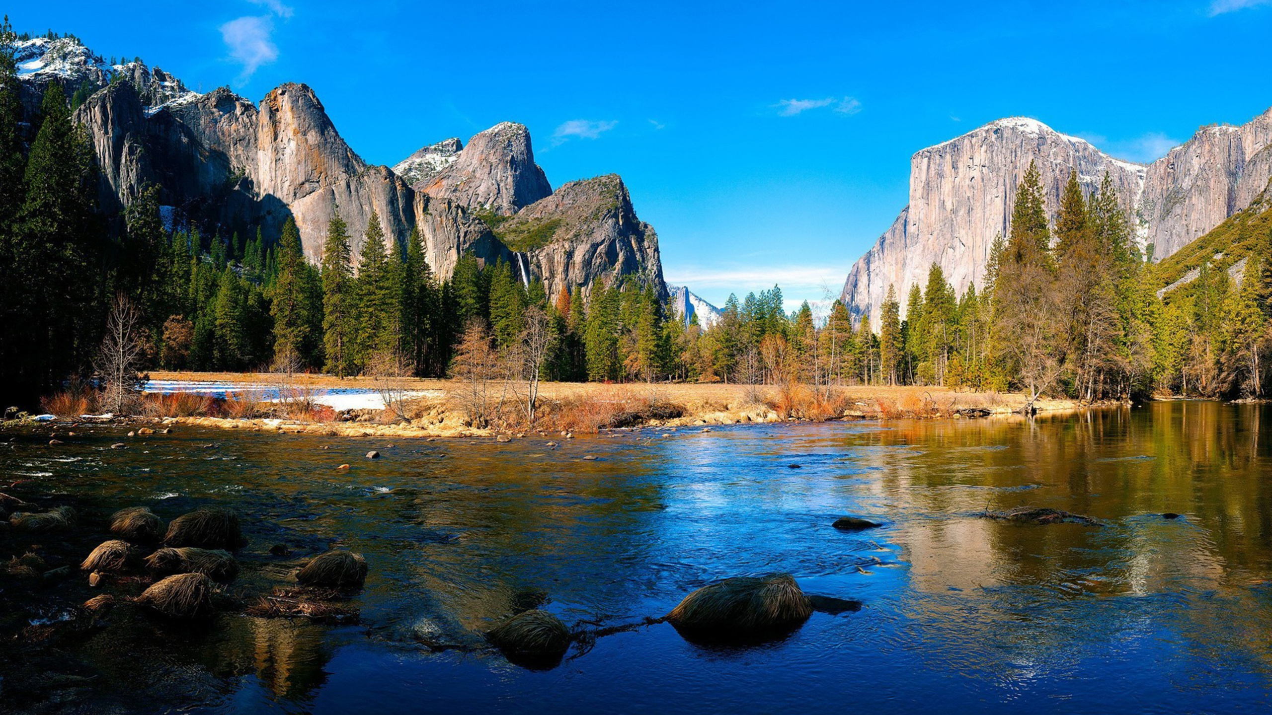 Green Trees Near Lake During Daytime. Wallpaper in 2560x1440 Resolution