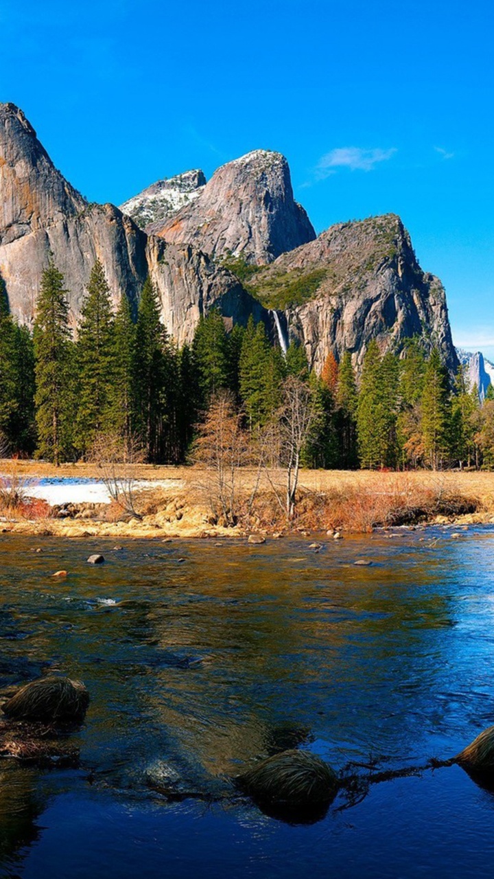 Grüne Bäume in Der Nähe Des Sees Tagsüber Lake. Wallpaper in 720x1280 Resolution