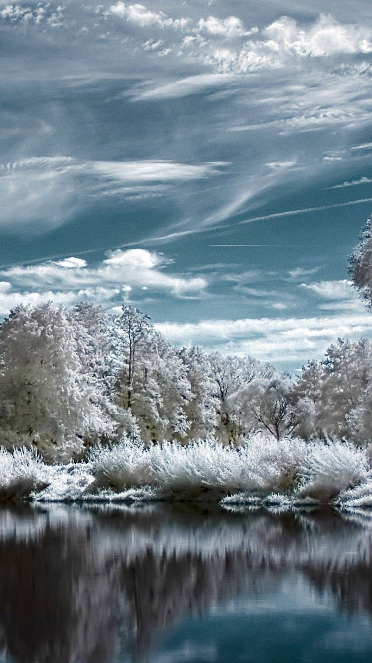 Arbres Couverts de Neige Blanche à Côté du Lac Sous Ciel Bleu Pendant la Journée. Wallpaper in 750x1334 Resolution