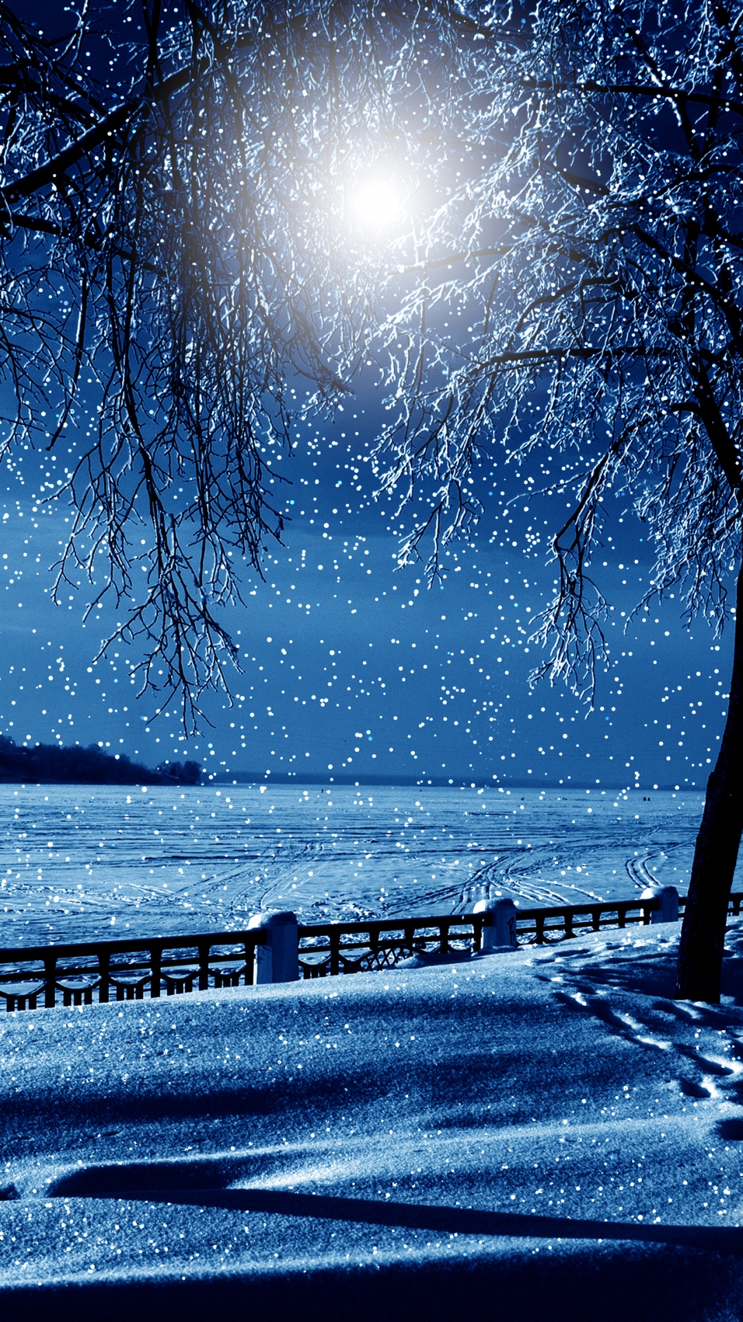 Silhouette of Trees Near Body of Water During Night Time. Wallpaper in 1080x1920 Resolution