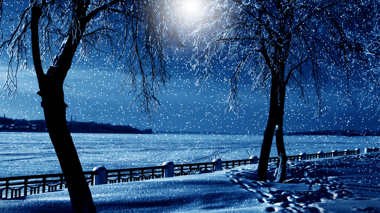 Silhouette of Trees Near Body of Water During Night Time. Wallpaper in 1280x720 Resolution