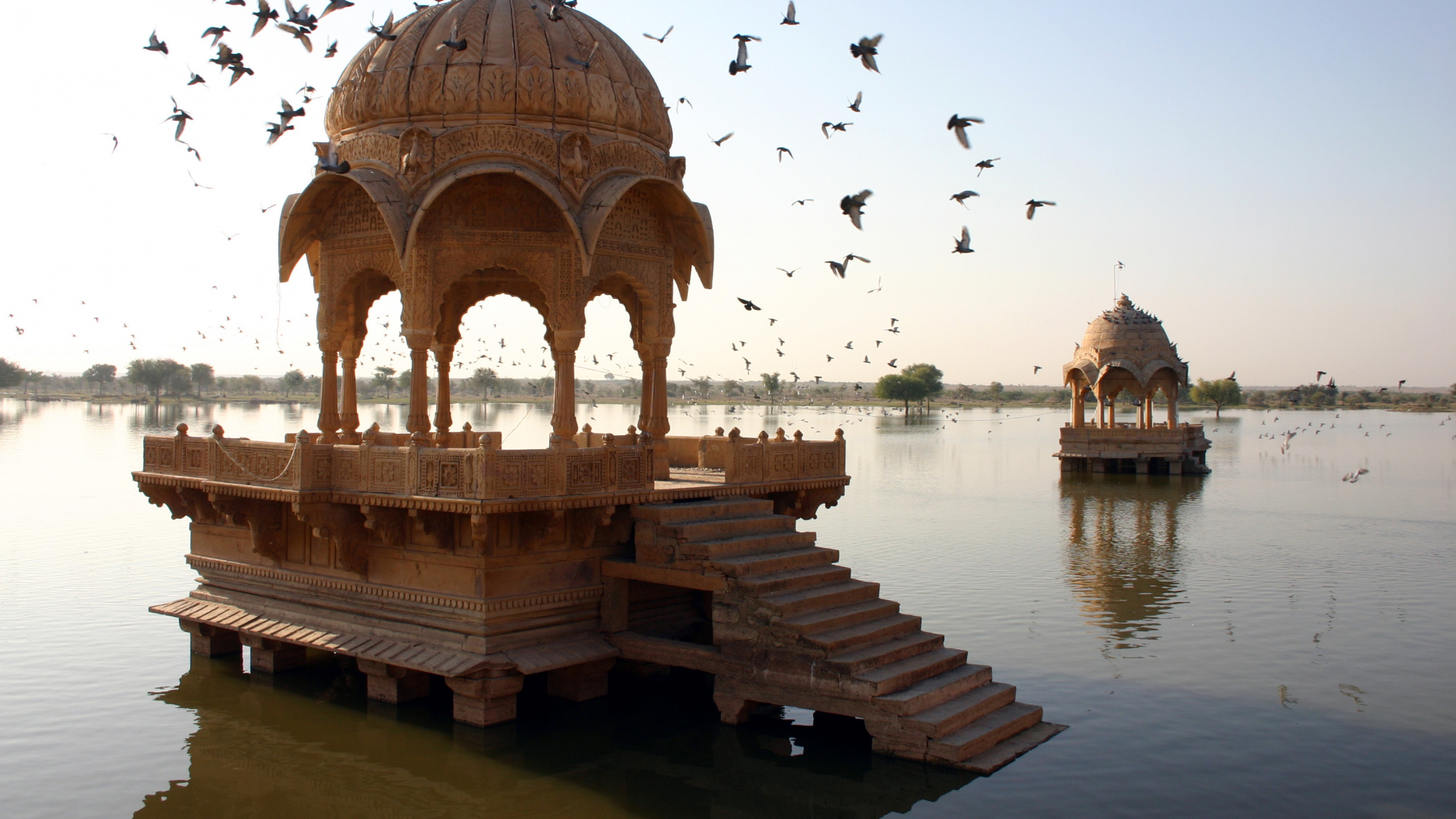 Flock of Birds Flying Over Body of Water During Daytime. Wallpaper in 1920x1080 Resolution