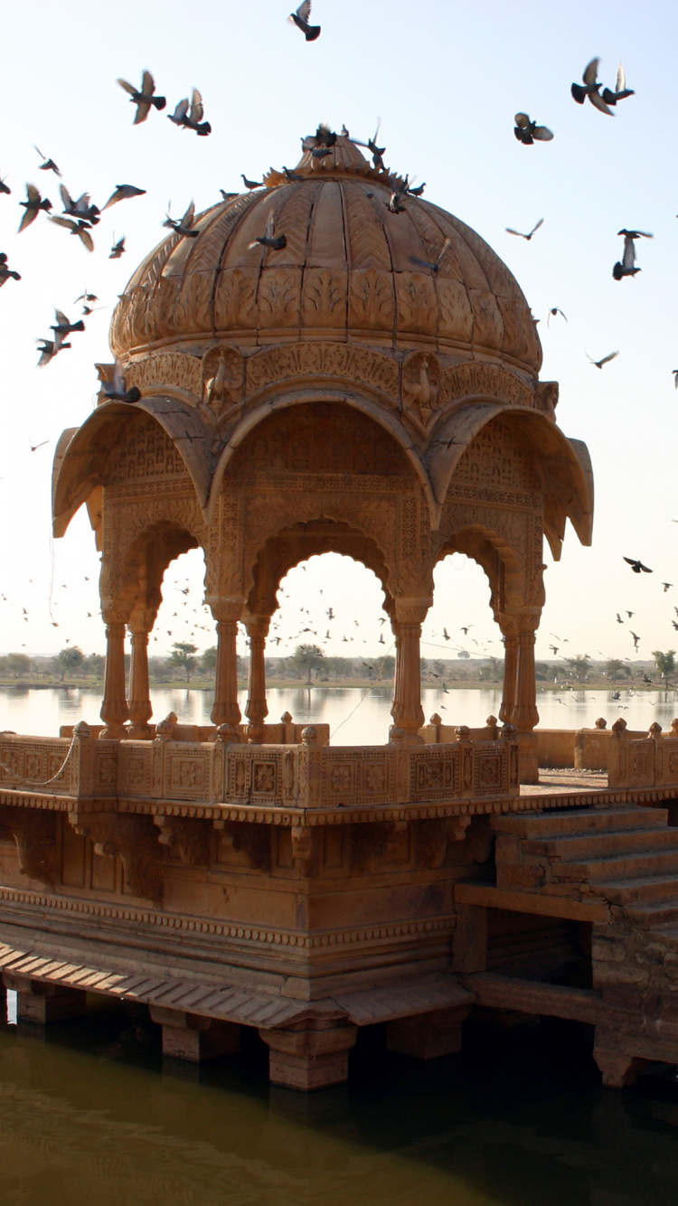 Flock of Birds Flying Over Body of Water During Daytime. Wallpaper in 750x1334 Resolution
