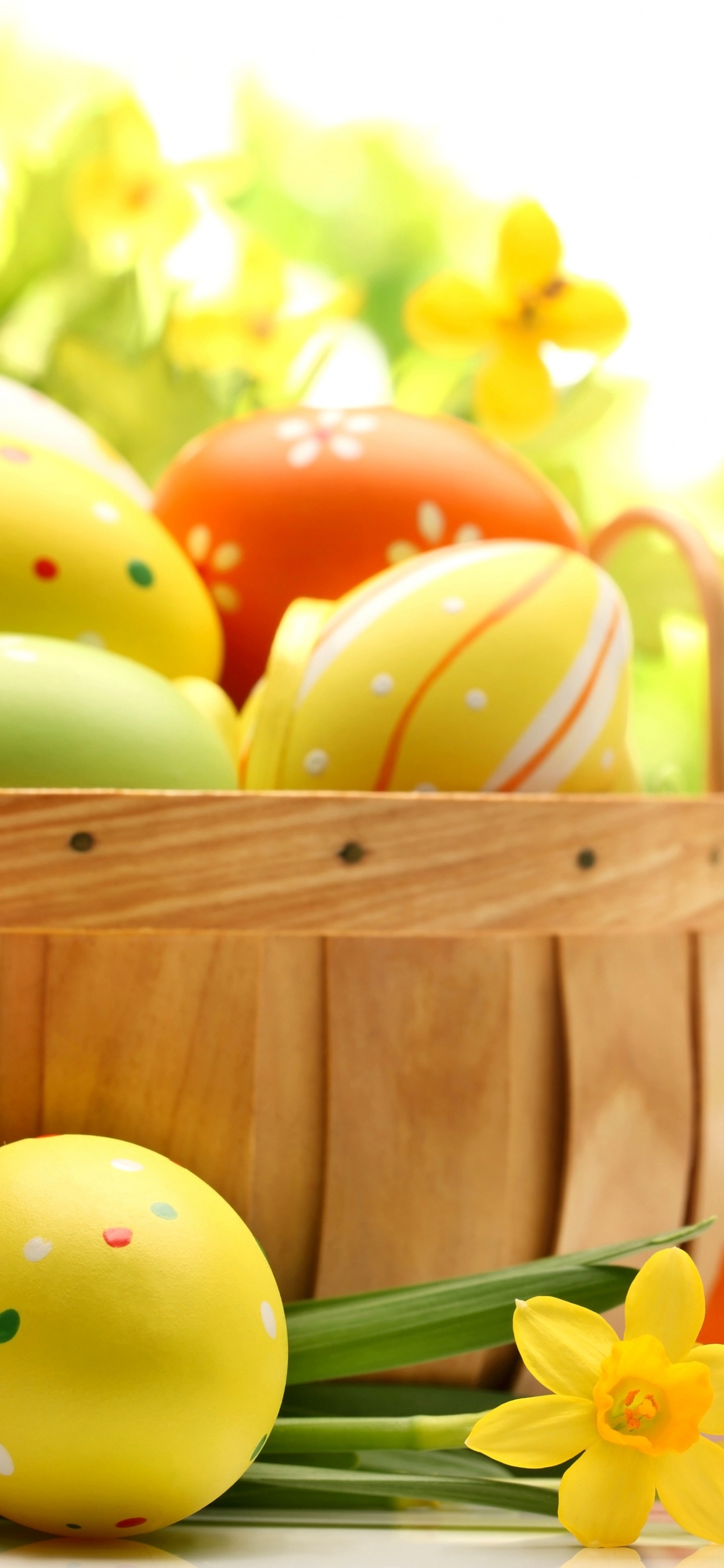 Easter Bunny, Easter Egg, Yellow, Food, Easter. Wallpaper in 1242x2688 Resolution