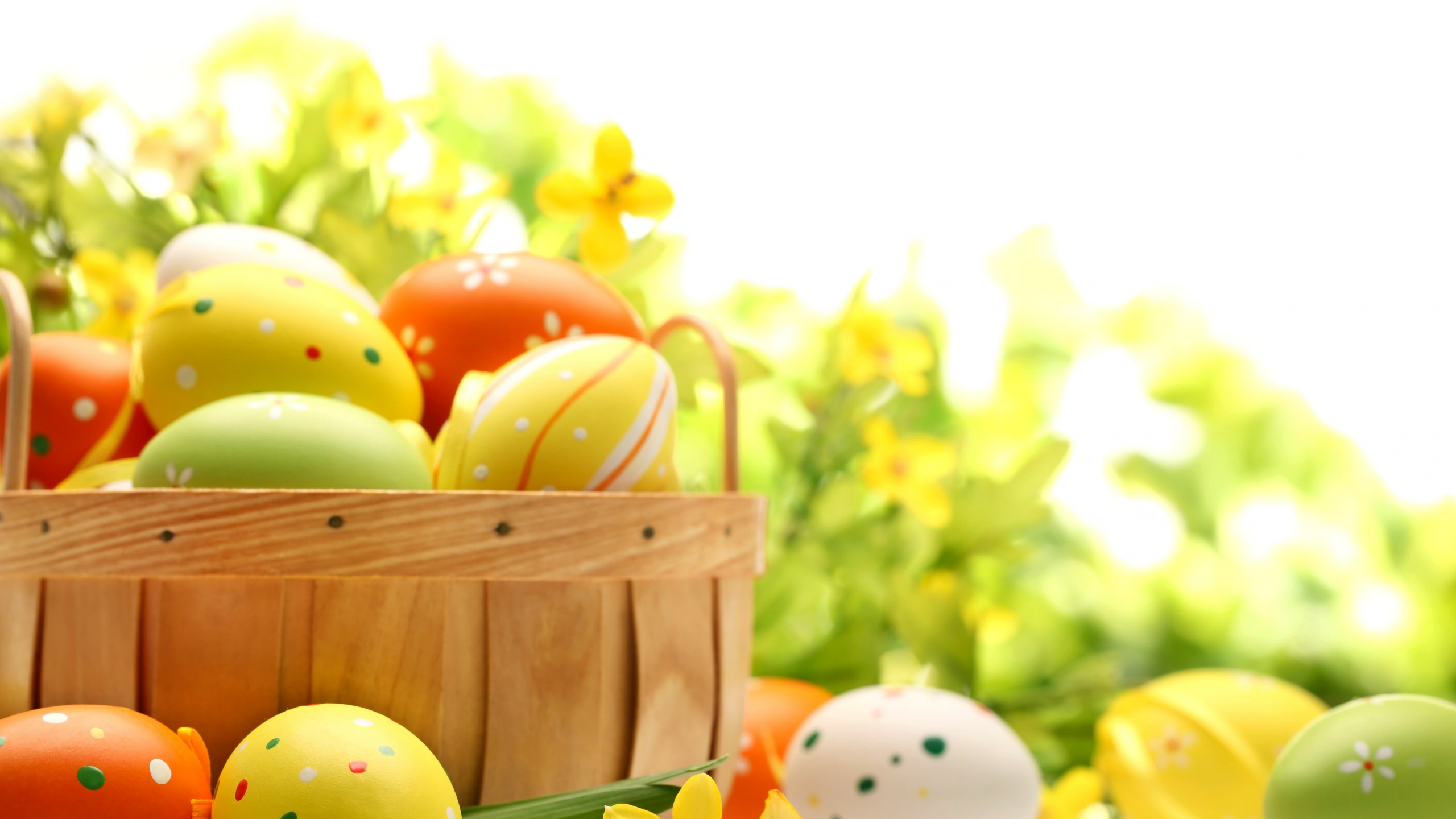 Osterhase, Osterei, Gelb, Lebensmittel, Ostern. Wallpaper in 2560x1440 Resolution