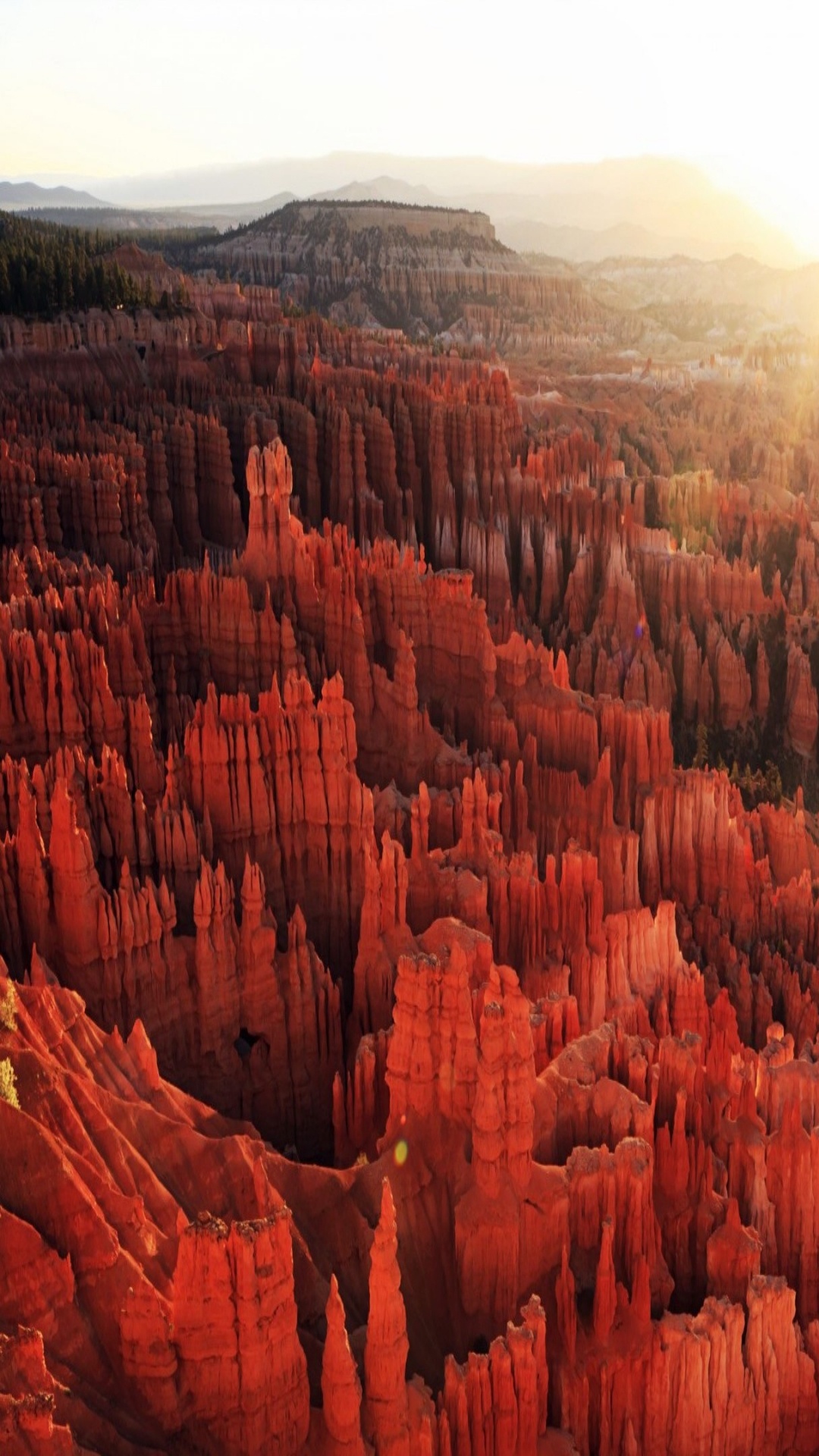 Tagsüber Braune Felsformation. Wallpaper in 1080x1920 Resolution