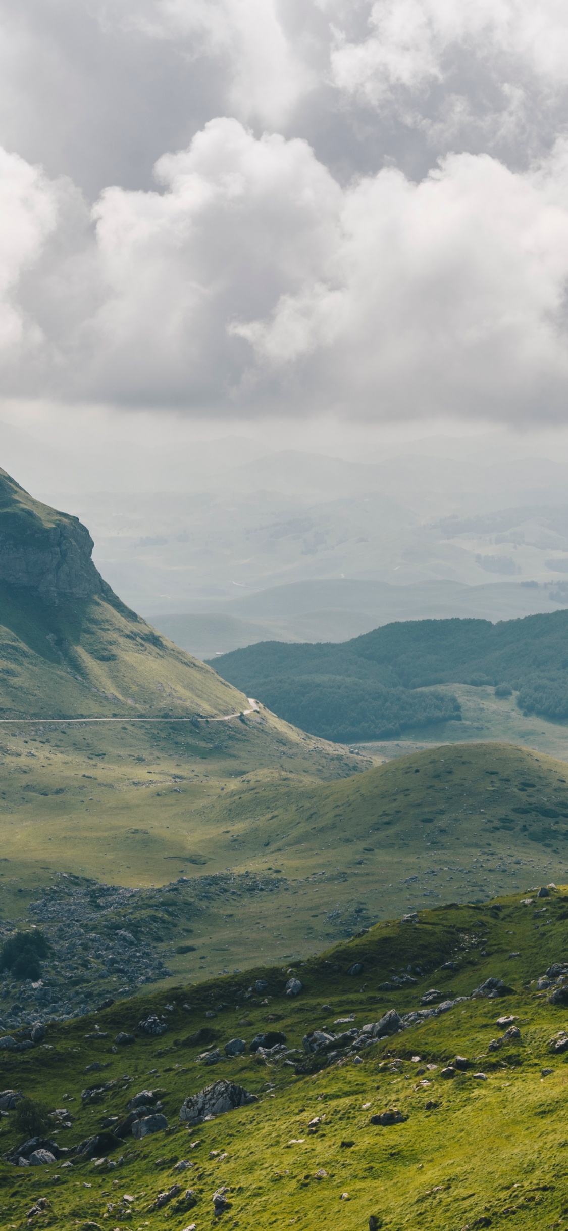 Montenegro Durmitor, Tonblume, Tara-Fluss-Schlucht, Reise, Nationalpark. Wallpaper in 1125x2436 Resolution