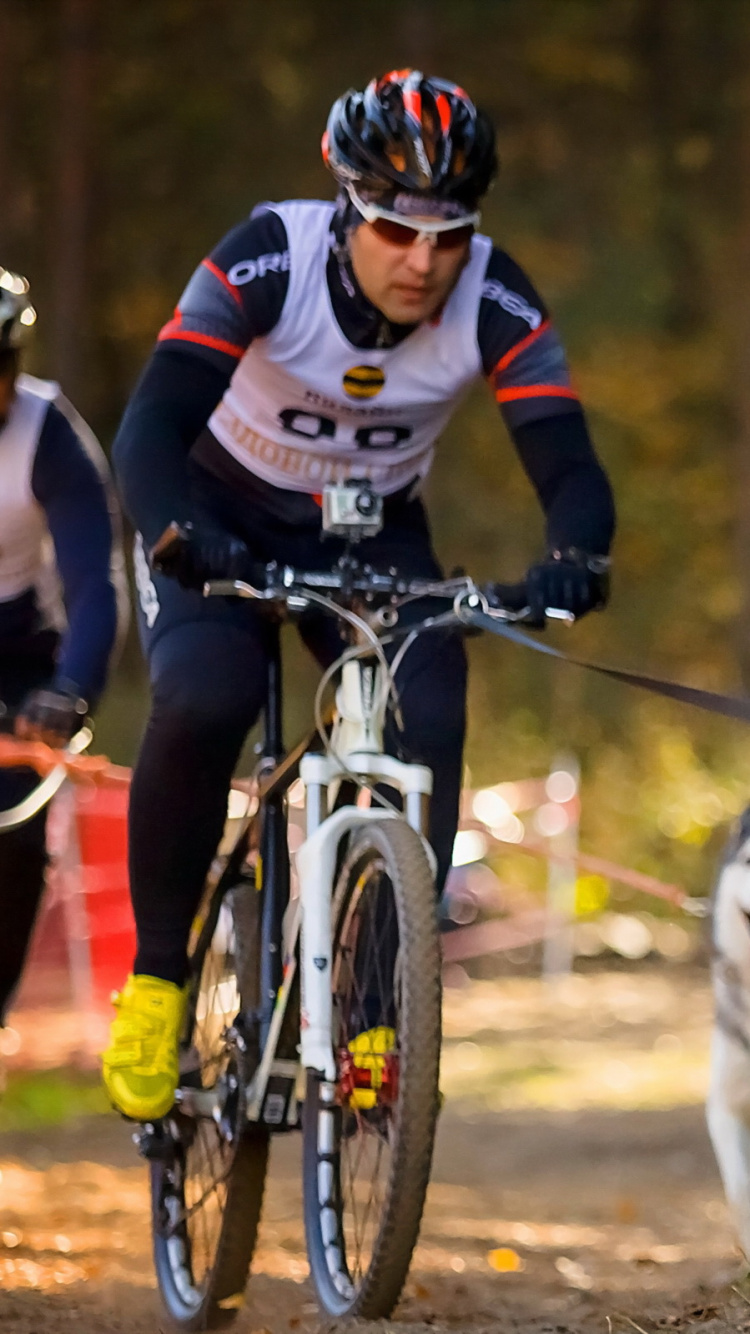 Persona en Chaqueta Roja y Blanca Cabalgando Sobre Husky Siberiano Blanco y Negro. Wallpaper in 750x1334 Resolution