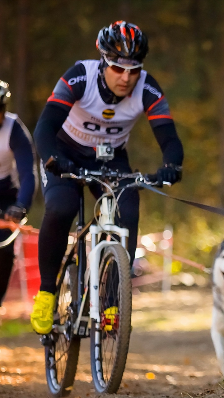 Person in Red and White Jacket Riding on Black and White Siberian Husky. Wallpaper in 720x1280 Resolution