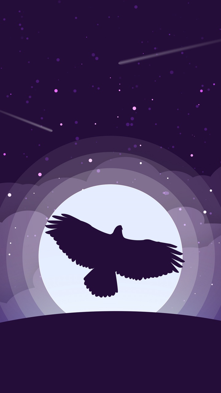 Black and White Bird Illustration. Wallpaper in 720x1280 Resolution