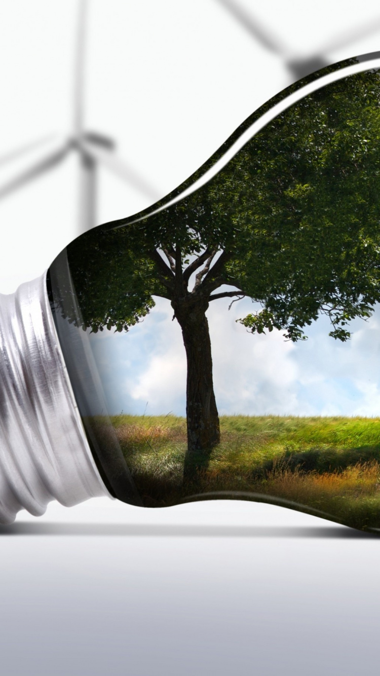 Green Leaf in Clear Glass Bottle. Wallpaper in 750x1334 Resolution