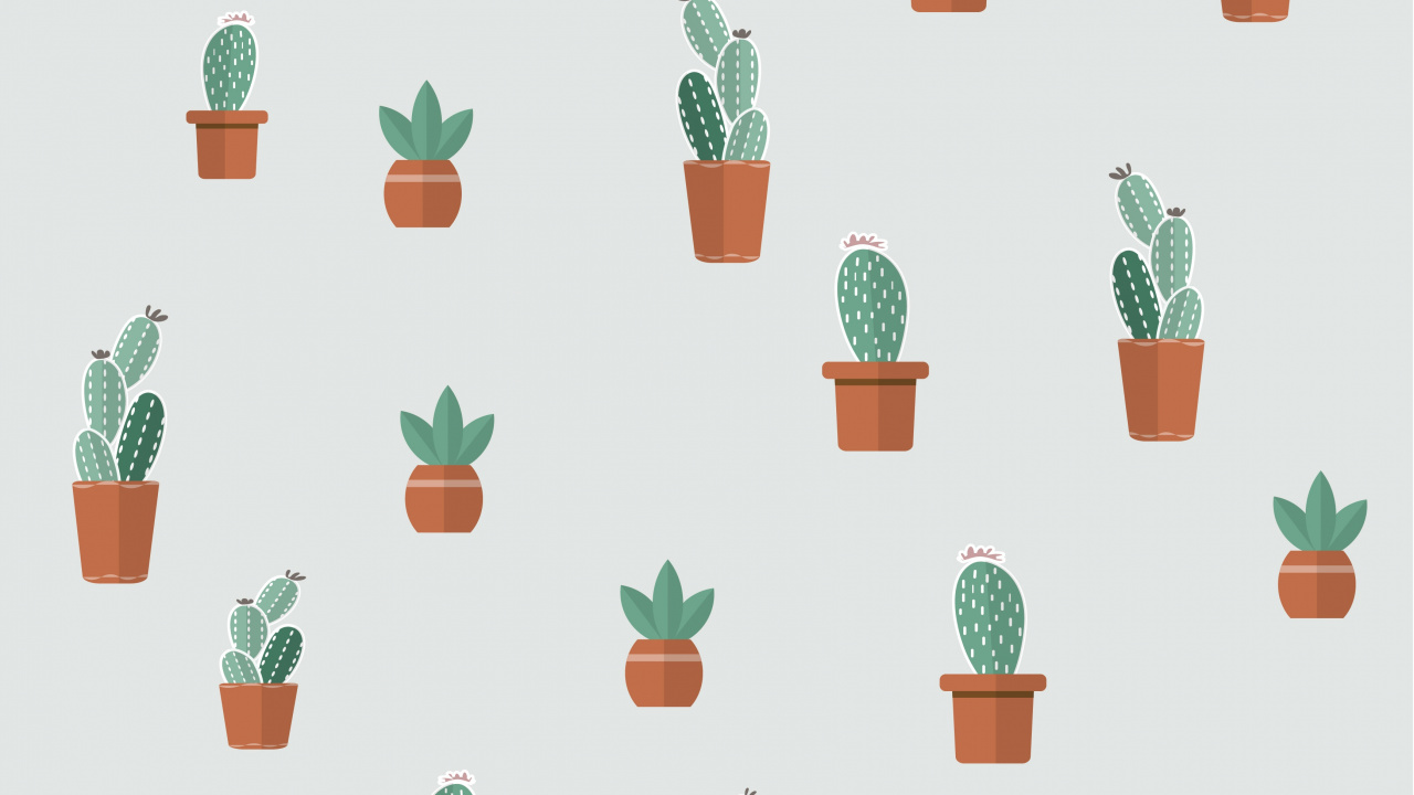 Plante Succulente, la Floraison de la Plante, Flowerpot, Green, Plante D'intérieur. Wallpaper in 1280x720 Resolution