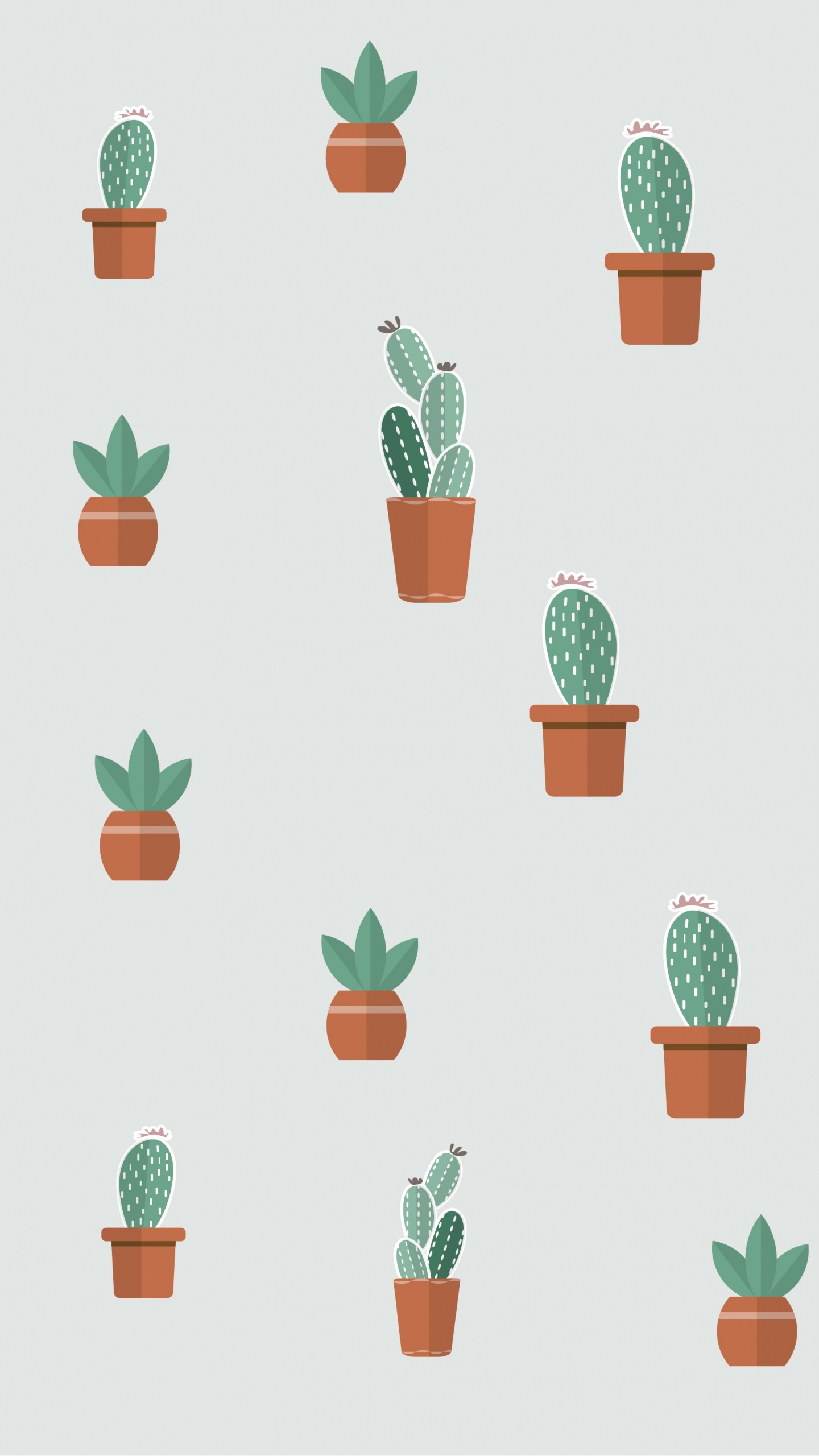 Plante Succulente, la Floraison de la Plante, Flowerpot, Green, Plante D'intérieur. Wallpaper in 1440x2560 Resolution