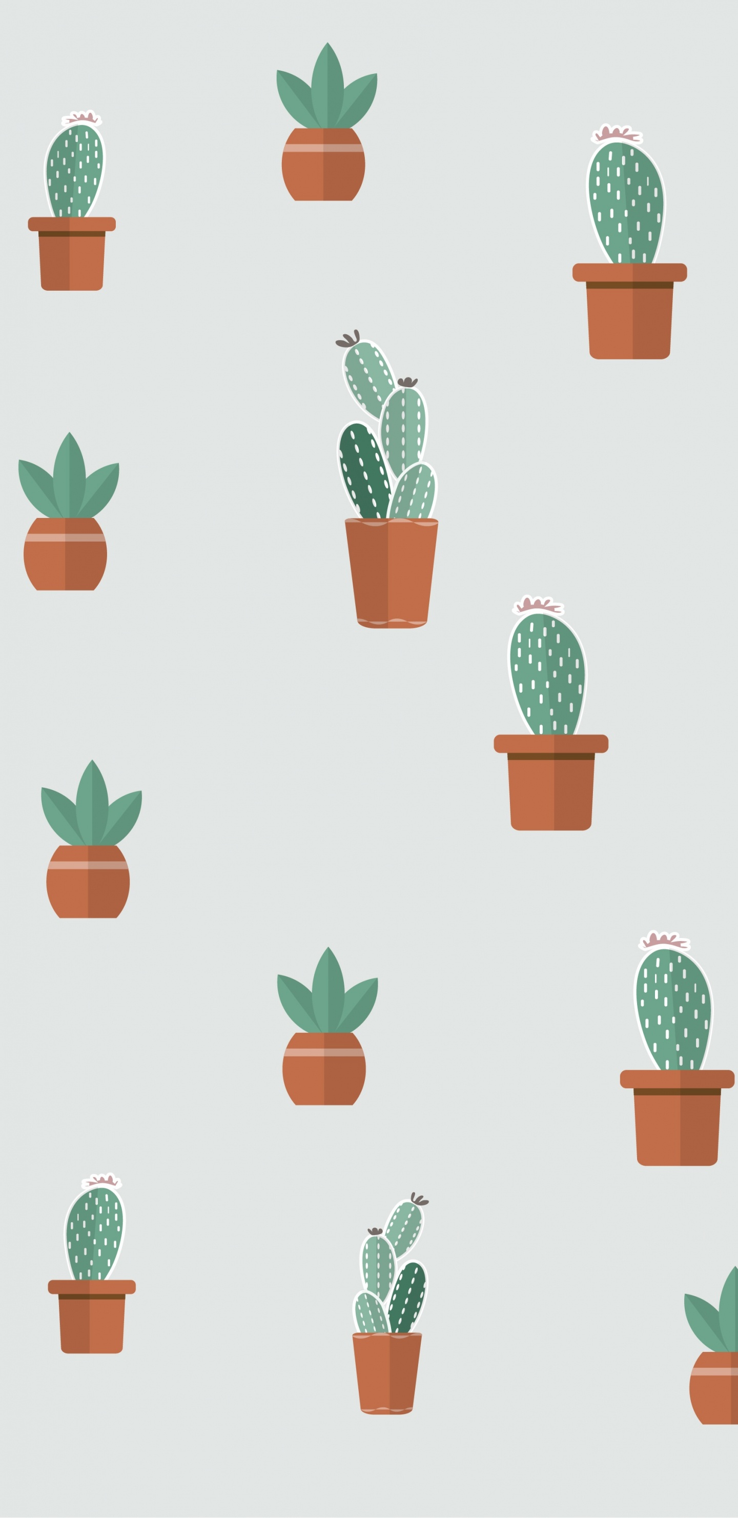 Plante Succulente, la Floraison de la Plante, Flowerpot, Green, Plante D'intérieur. Wallpaper in 1440x2960 Resolution