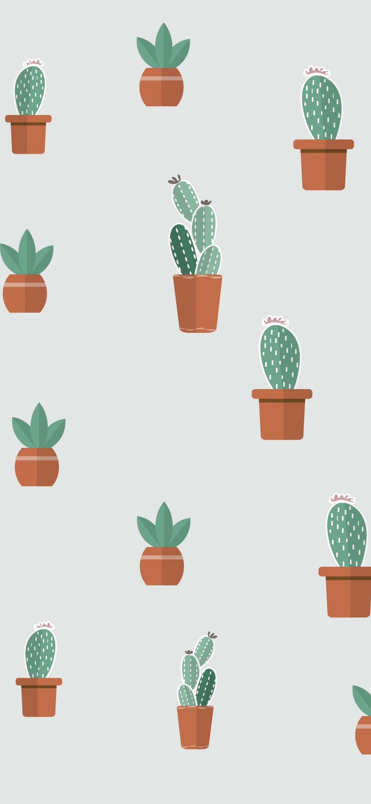 Succulent Plant, Flowering Plant, Plant, Flowerpot, Green. Wallpaper in 1242x2688 Resolution