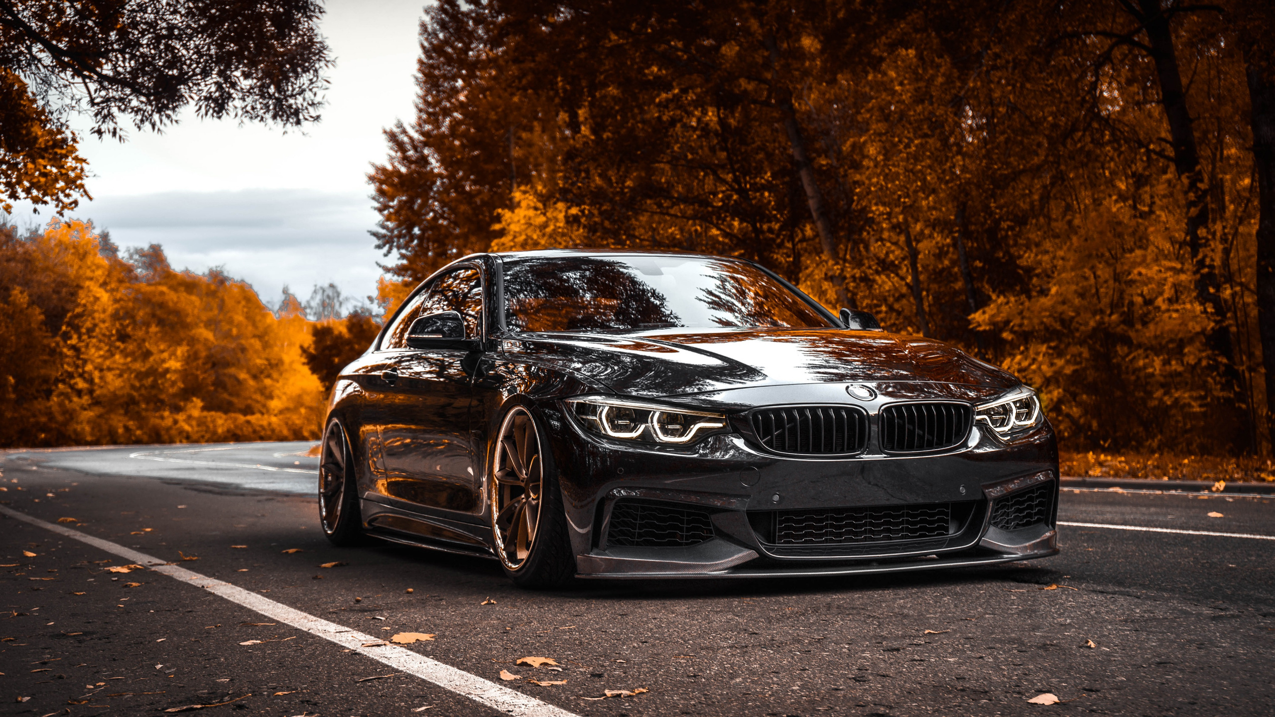 BMW Serie 4, Bayerische Motoren Werke AG, BMW M4, Coche, BMW. Wallpaper in 2560x1440 Resolution