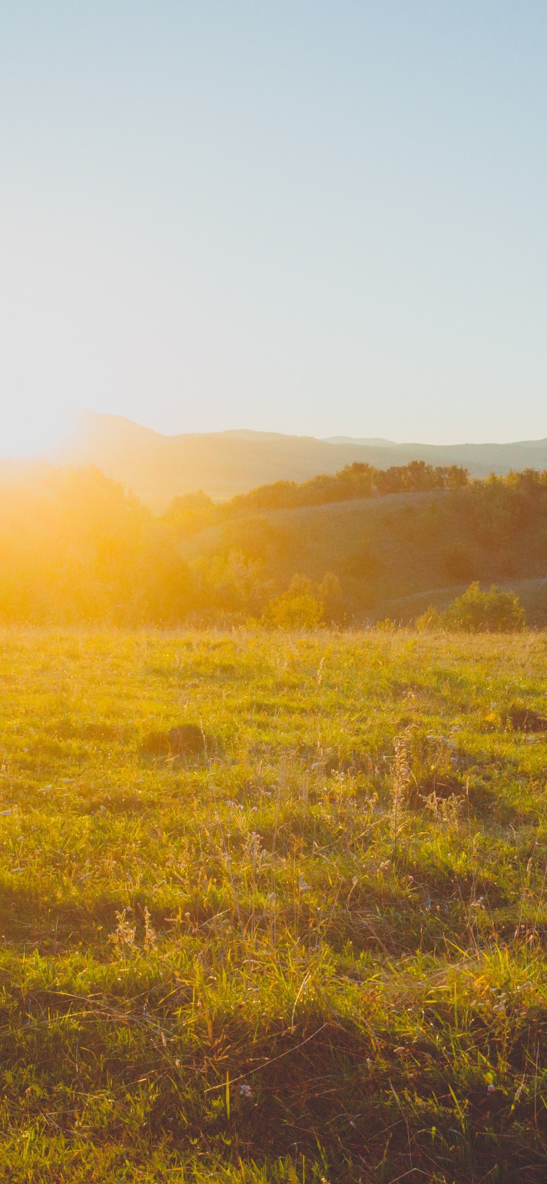 Nature, Prairie, Environnement Naturel, Matin, L'écorégion. Wallpaper in 1125x2436 Resolution