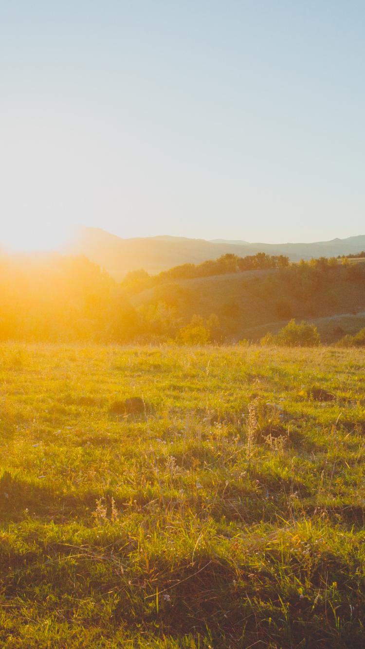 Nature, Grassland, Natural Environment, Morning, Sunlight. Wallpaper in 750x1334 Resolution