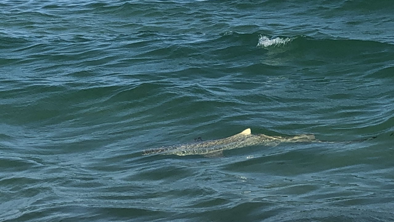 Meer, Wasser, Biologie, Wissenschaft, Flüssigkeit. Wallpaper in 1280x720 Resolution