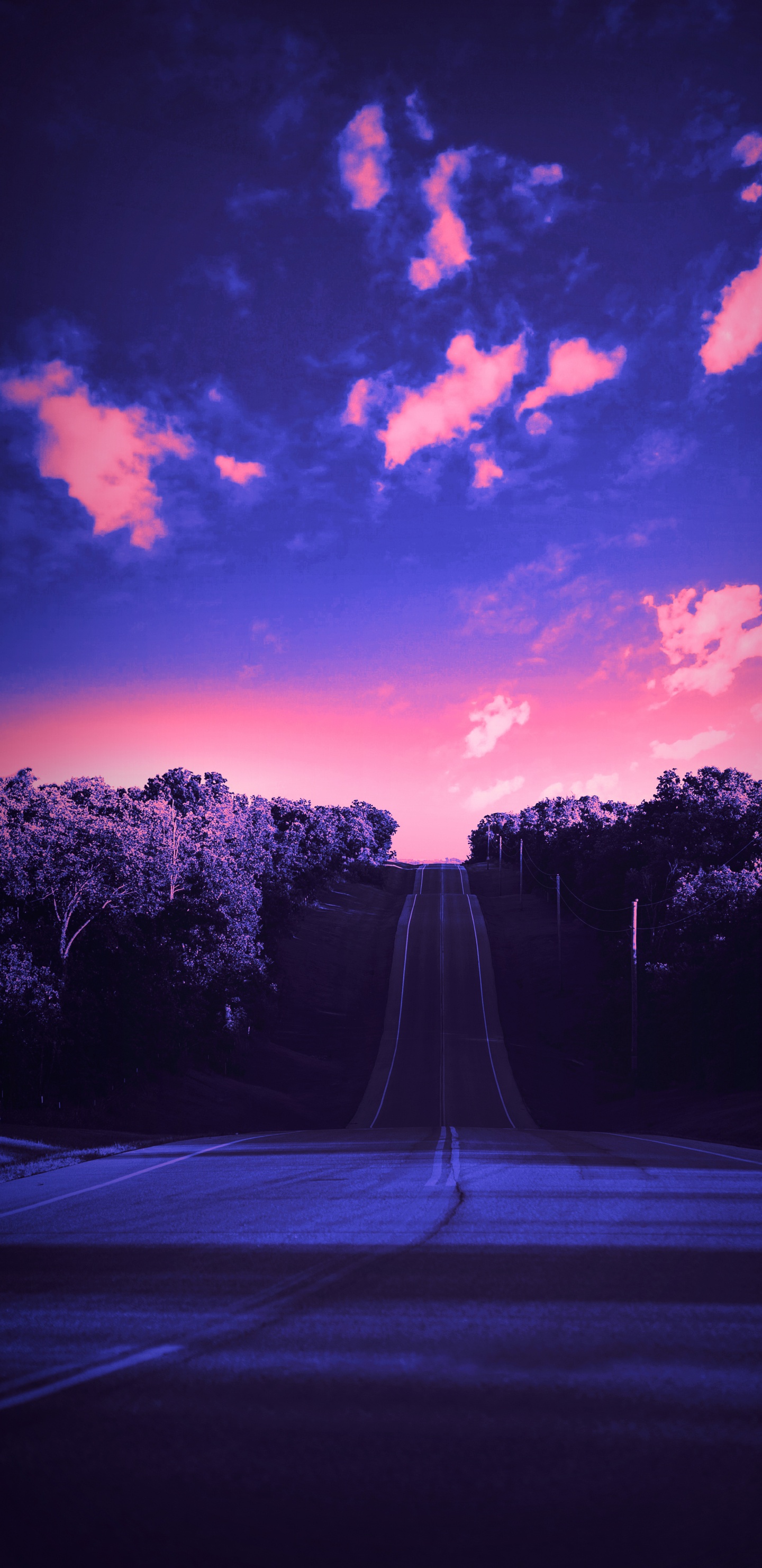 Cloud, Atmosphere, Plant, Purple, World. Wallpaper in 1440x2960 Resolution