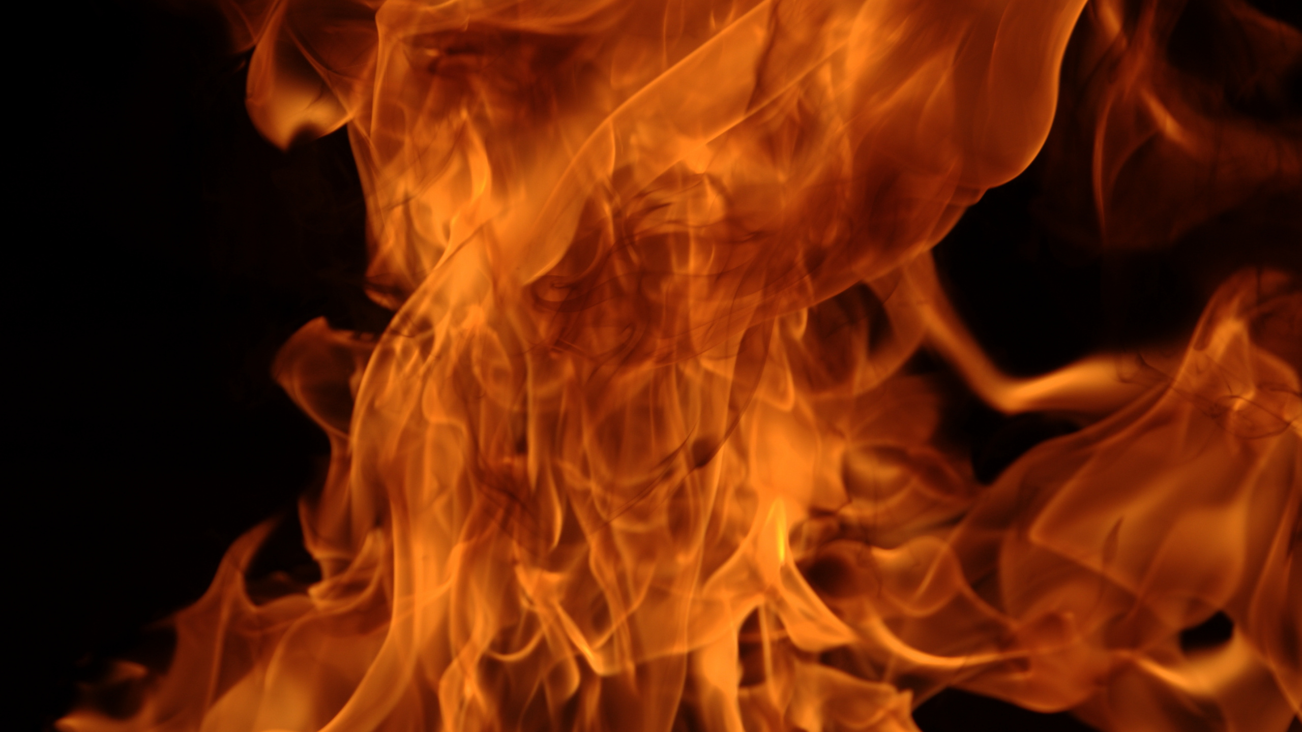 Illustration de Feu Orange et Noir. Wallpaper in 2560x1440 Resolution