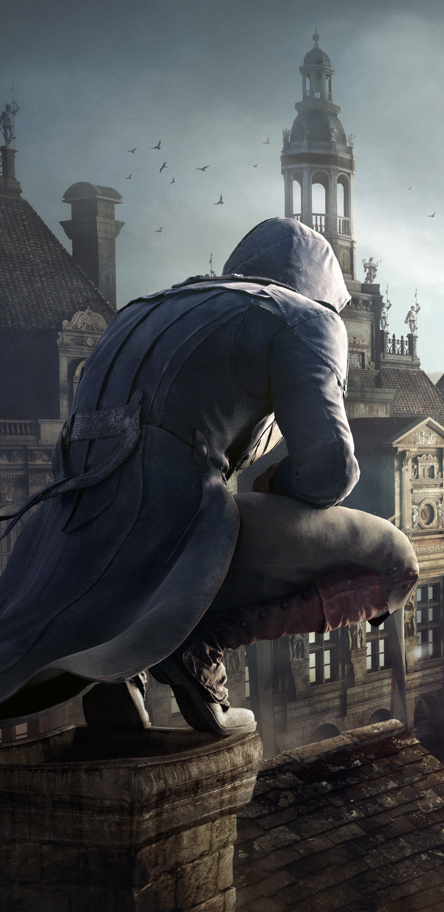 Assassins Creed Unity, Assassins Creed, Ubisoft, Arno Dorian, Playstation 4. Wallpaper in 1440x2960 Resolution