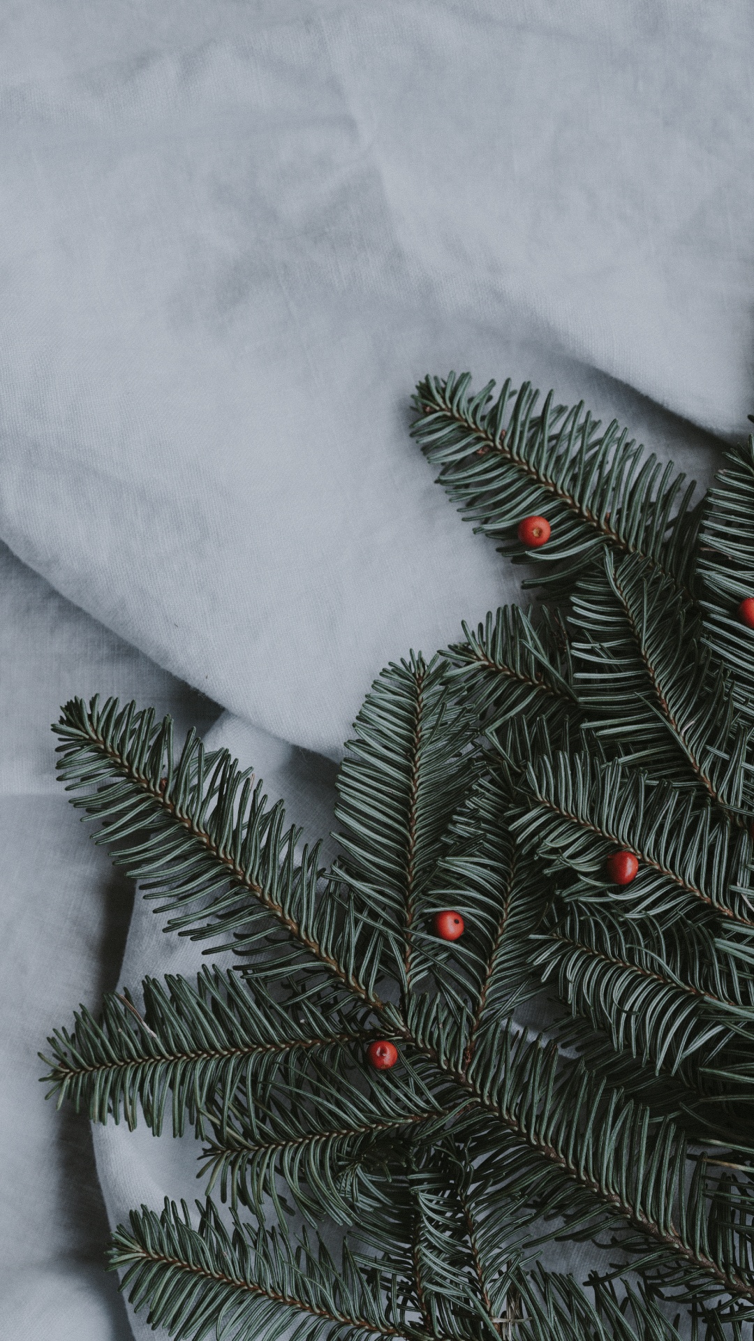 Pin Vert Couvert de Neige. Wallpaper in 1080x1920 Resolution