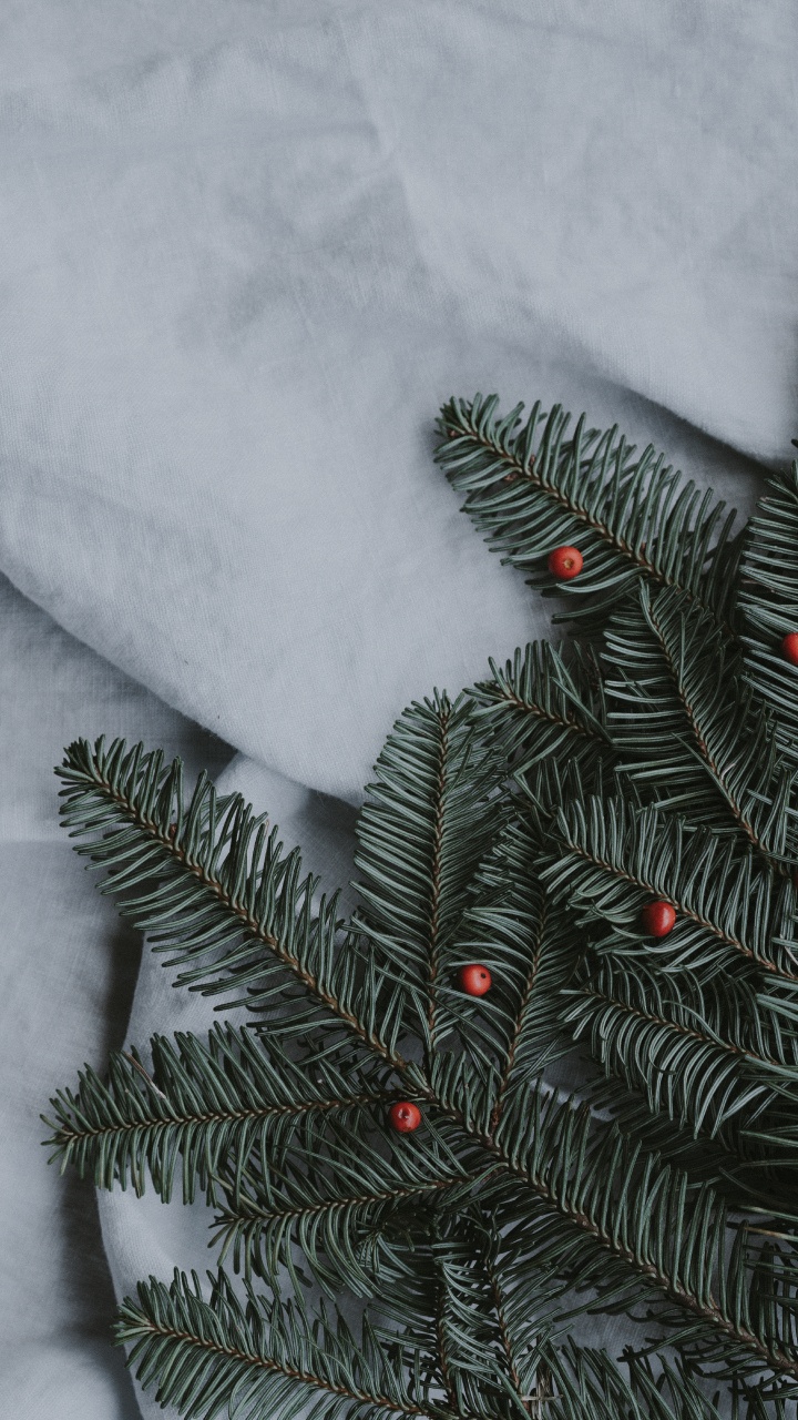 Pin Vert Couvert de Neige. Wallpaper in 720x1280 Resolution