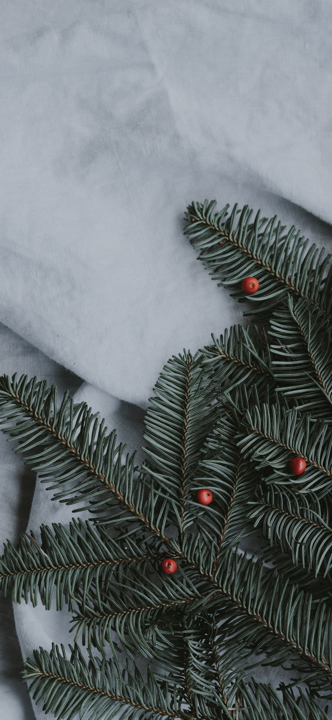 Green Pine Tree Covered With Snow. Wallpaper in 1125x2436 Resolution