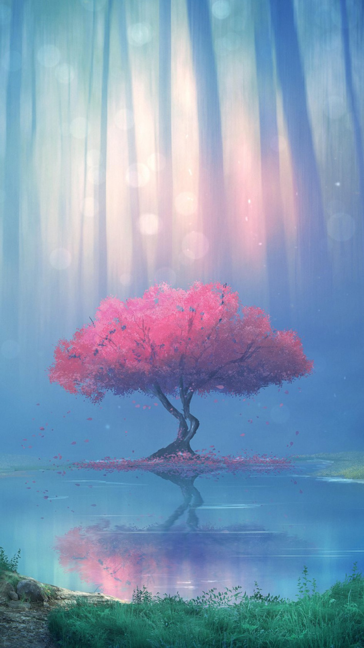 Nature, Soundcloud, Water, Atmosphere, Plant. Wallpaper in 750x1334 Resolution