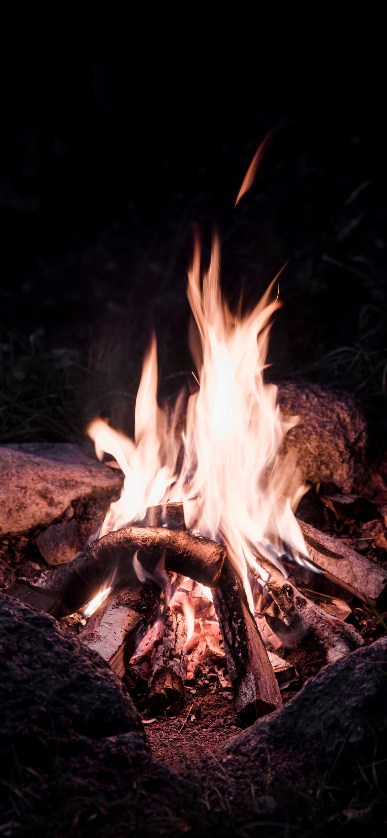 Burning Wood on Fire Pit. Wallpaper in 1242x2688 Resolution