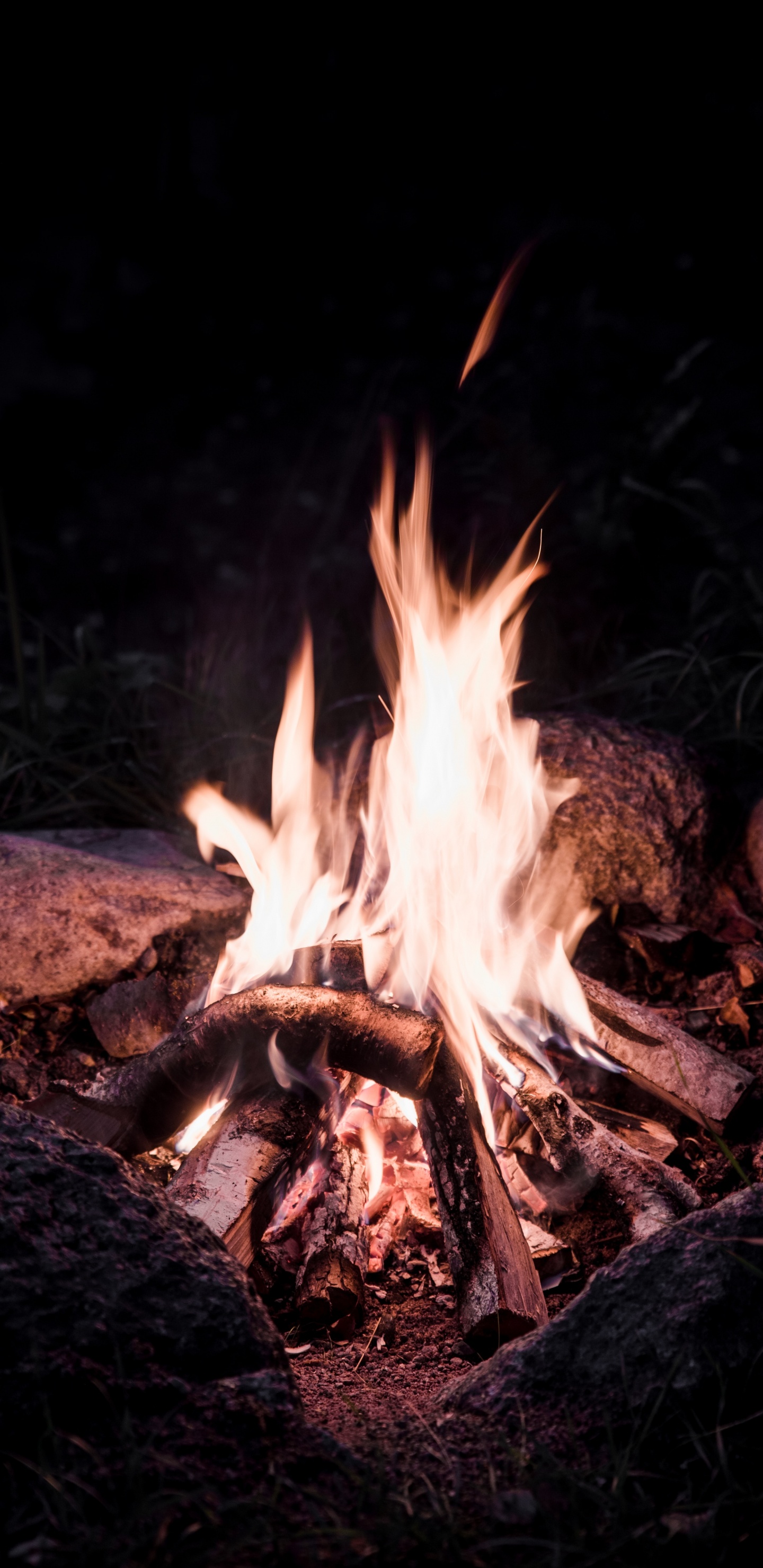 Burning Wood on Fire Pit. Wallpaper in 1440x2960 Resolution