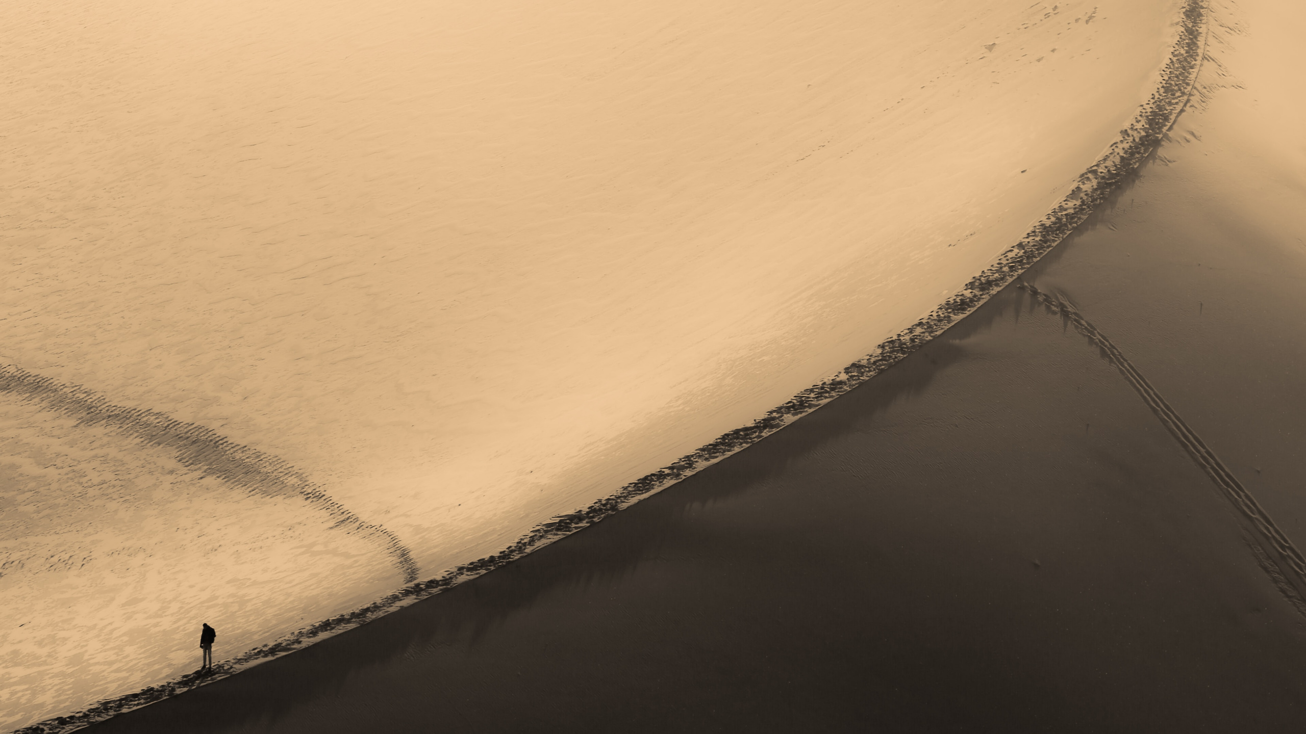 Person in Black Jacket Walking on Sand. Wallpaper in 2560x1440 Resolution