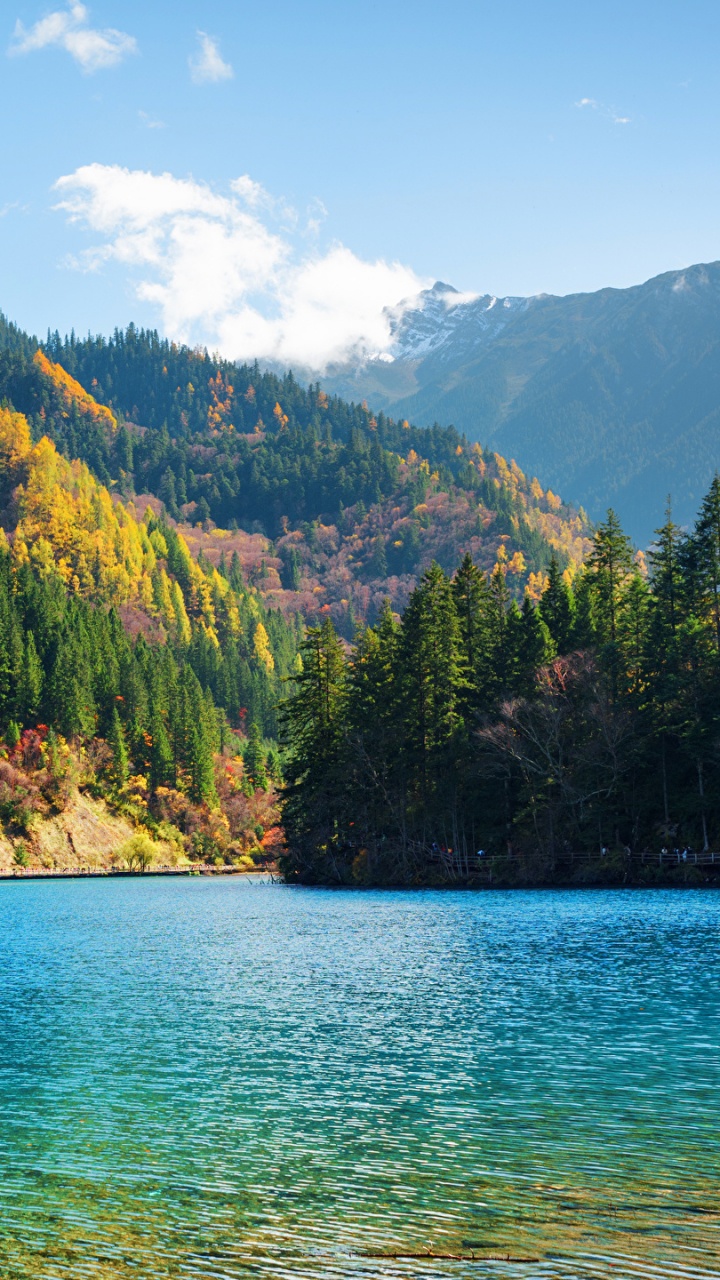 Green Trees on Mountain Beside Body of Water During Daytime. Wallpaper in 720x1280 Resolution