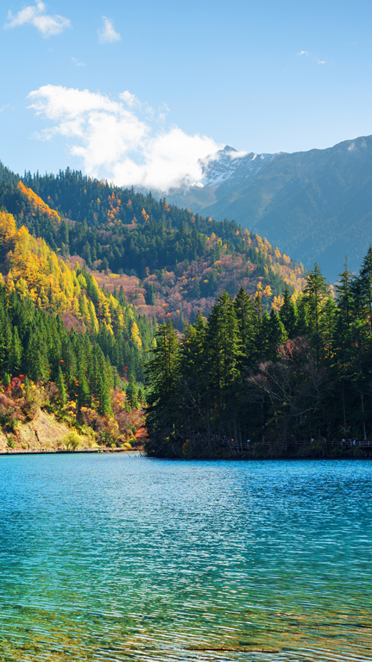 Green Trees on Mountain Beside Body of Water During Daytime. Wallpaper in 750x1334 Resolution