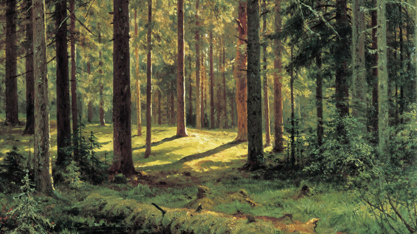 Tagsüber Grüne Bäume Auf Grüner Wiese Field. Wallpaper in 1366x768 Resolution