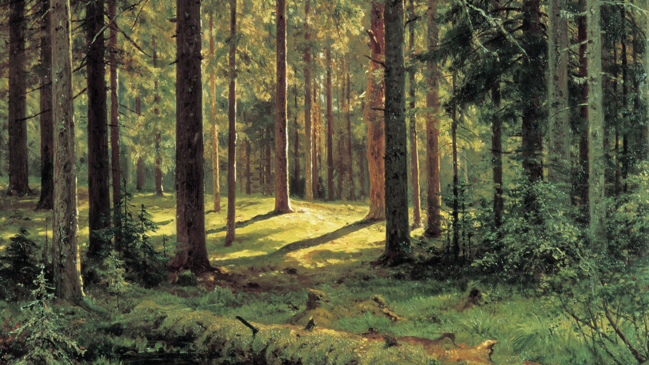 Green Trees on Green Grass Field During Daytime. Wallpaper in 1280x720 Resolution