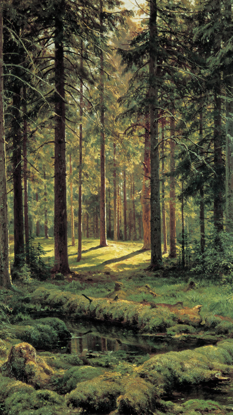 Green Trees on Green Grass Field During Daytime. Wallpaper in 750x1334 Resolution