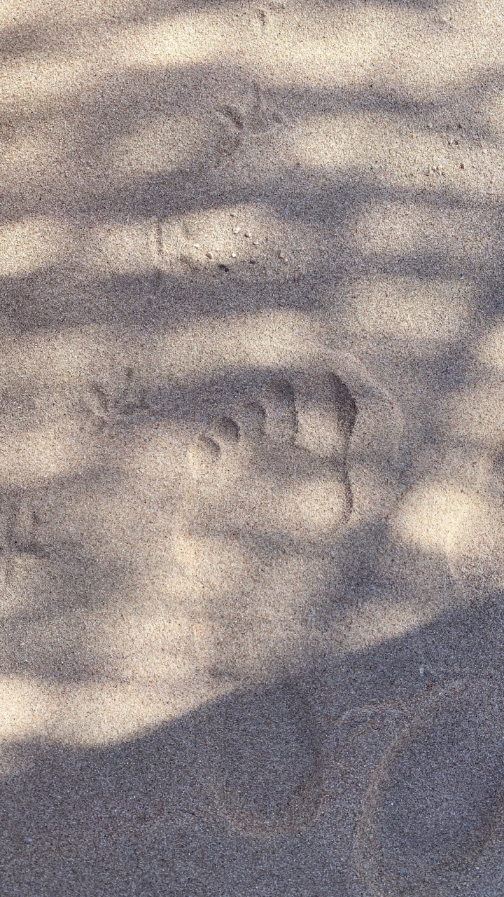 Fahrbahn, Holz, Asphalt, Farbtöne Und Schattierungen, KFZ-Reifen. Wallpaper in 720x1280 Resolution