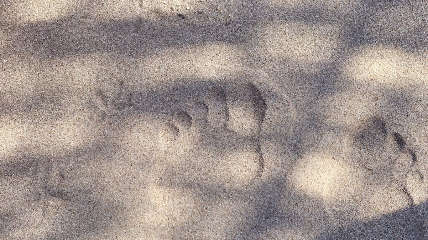 la Superficie de la Carretera, Madera, Gris, Asfalto, Tintes y Matices. Wallpaper in 1366x768 Resolution