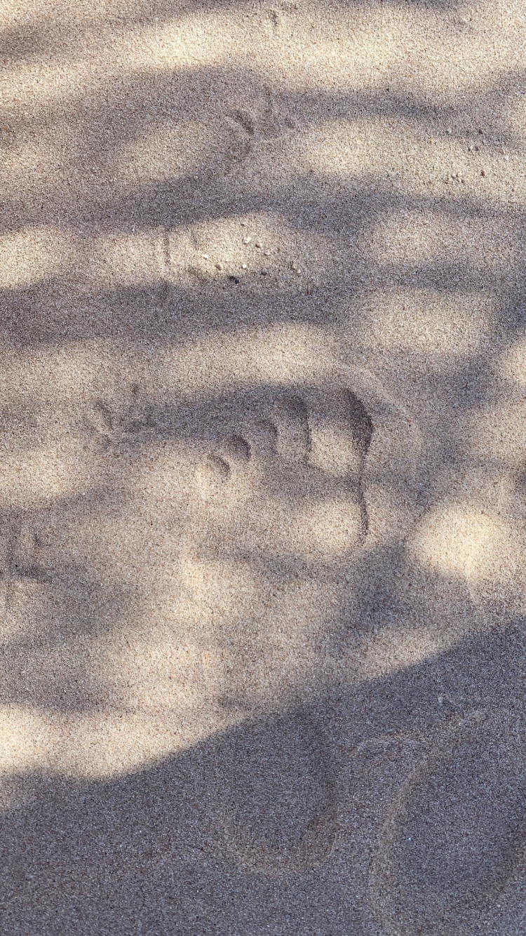 la Superficie de la Carretera, Madera, Gris, Asfalto, Tintes y Matices. Wallpaper in 750x1334 Resolution