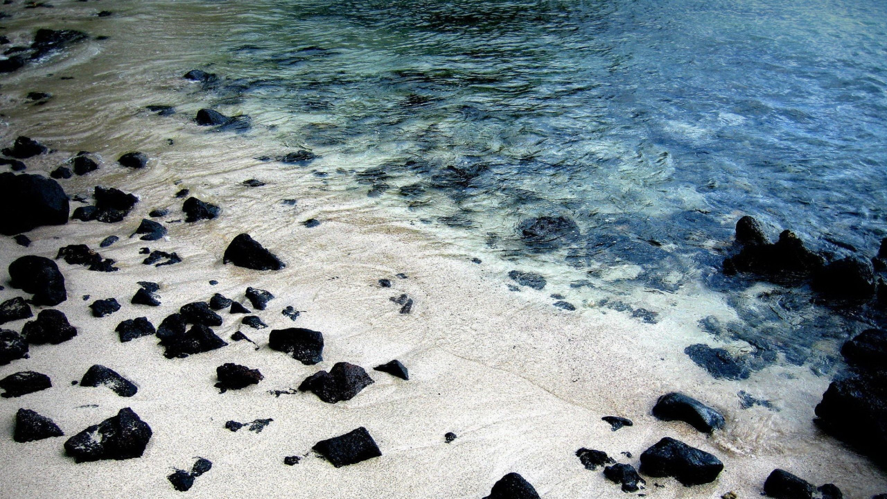 Black Stones on Seashore During Daytime. Wallpaper in 1280x720 Resolution