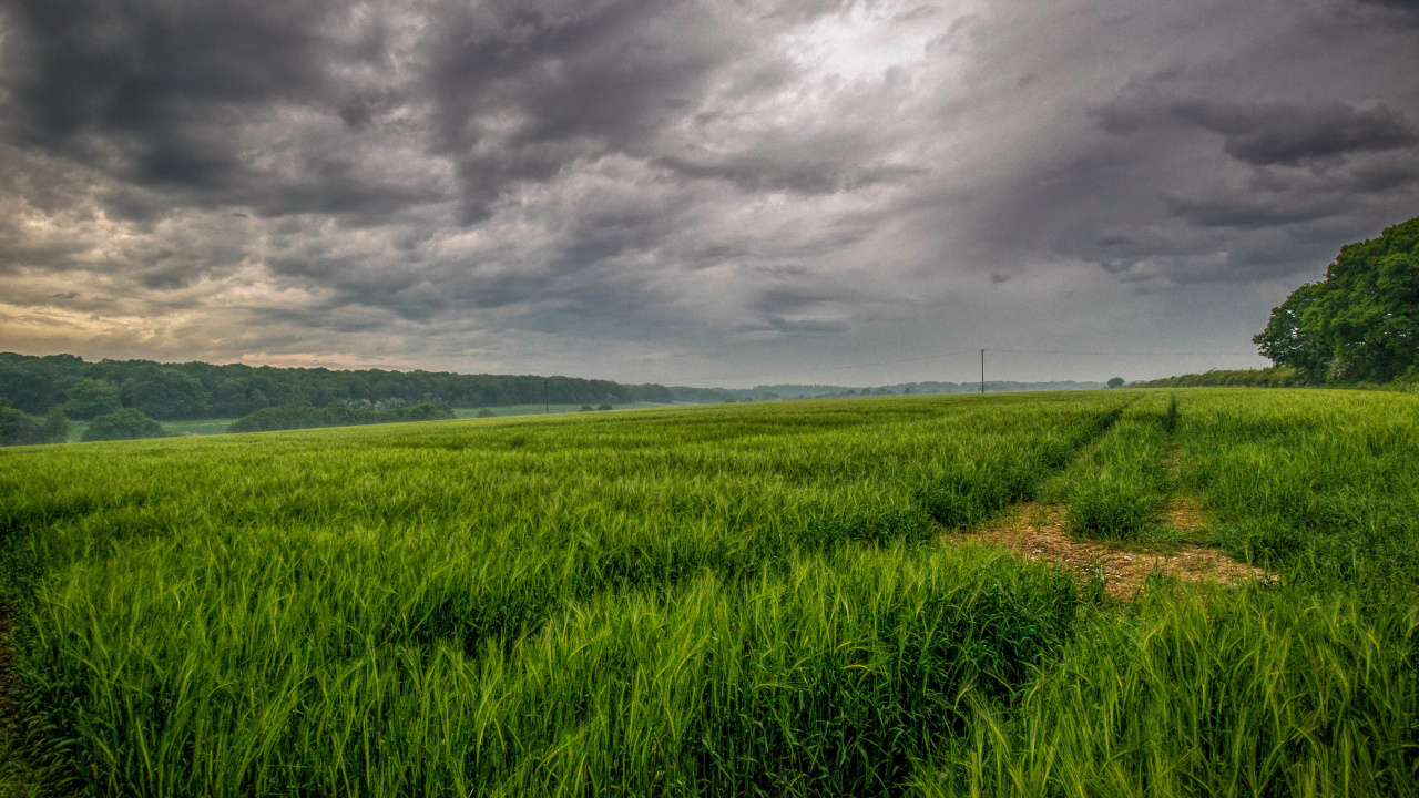 Champ D'herbe Verte Sous un Ciel Nuageux Pendant la Journée. Wallpaper in 1280x720 Resolution