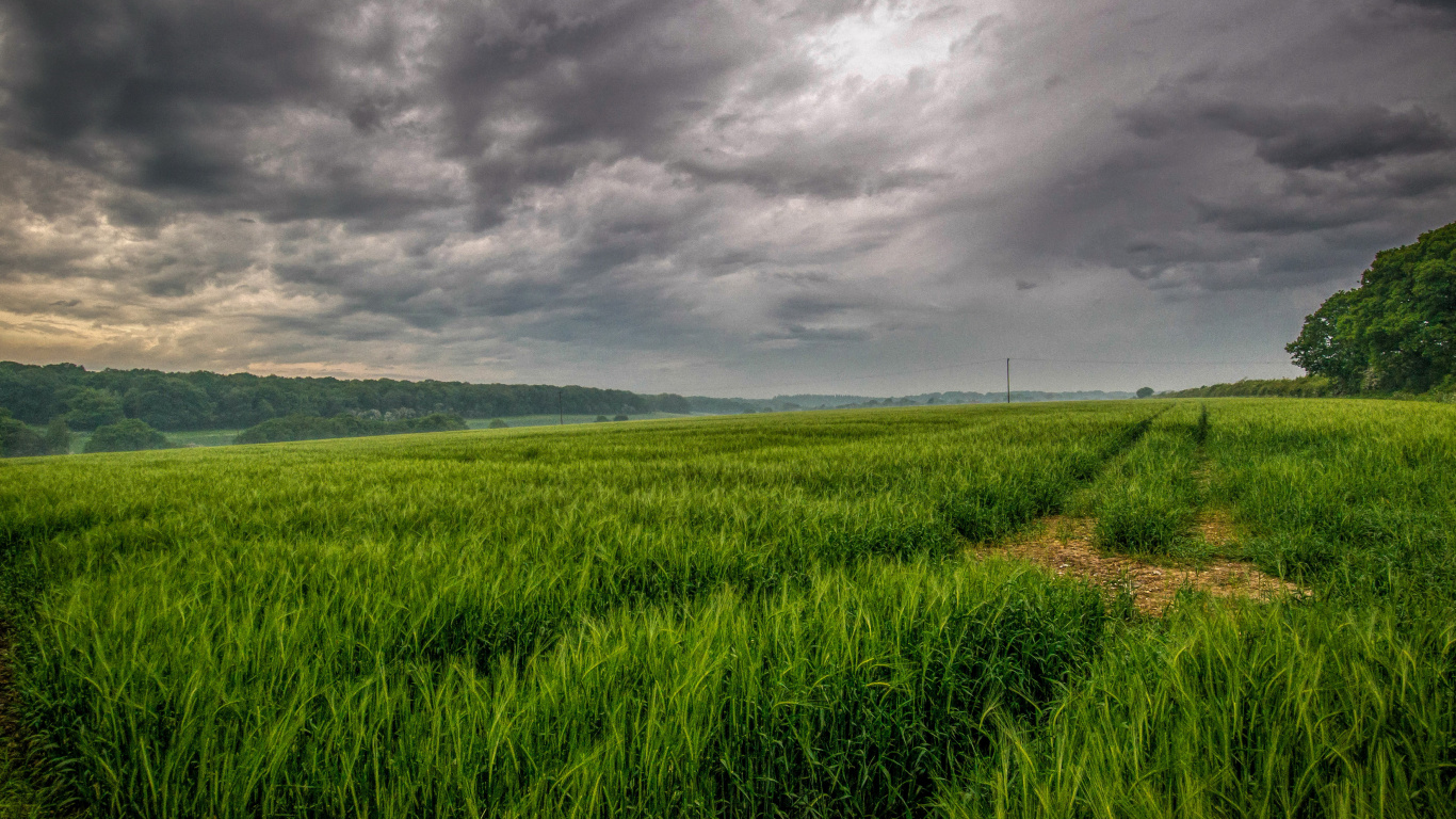 Green Grass Field Under Cloudy Sky During Daytime. Wallpaper in 1366x768 Resolution