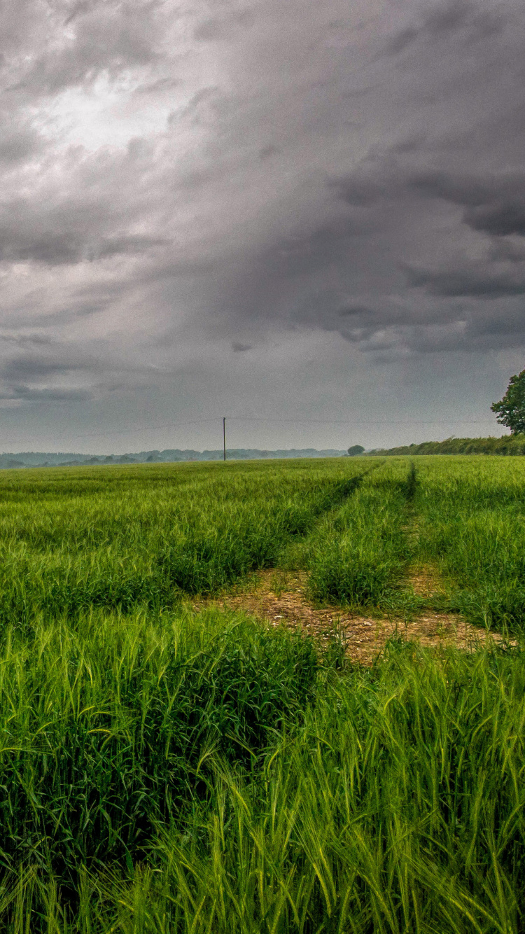 Green Grass Field Under Cloudy Sky During Daytime. Wallpaper in 750x1334 Resolution